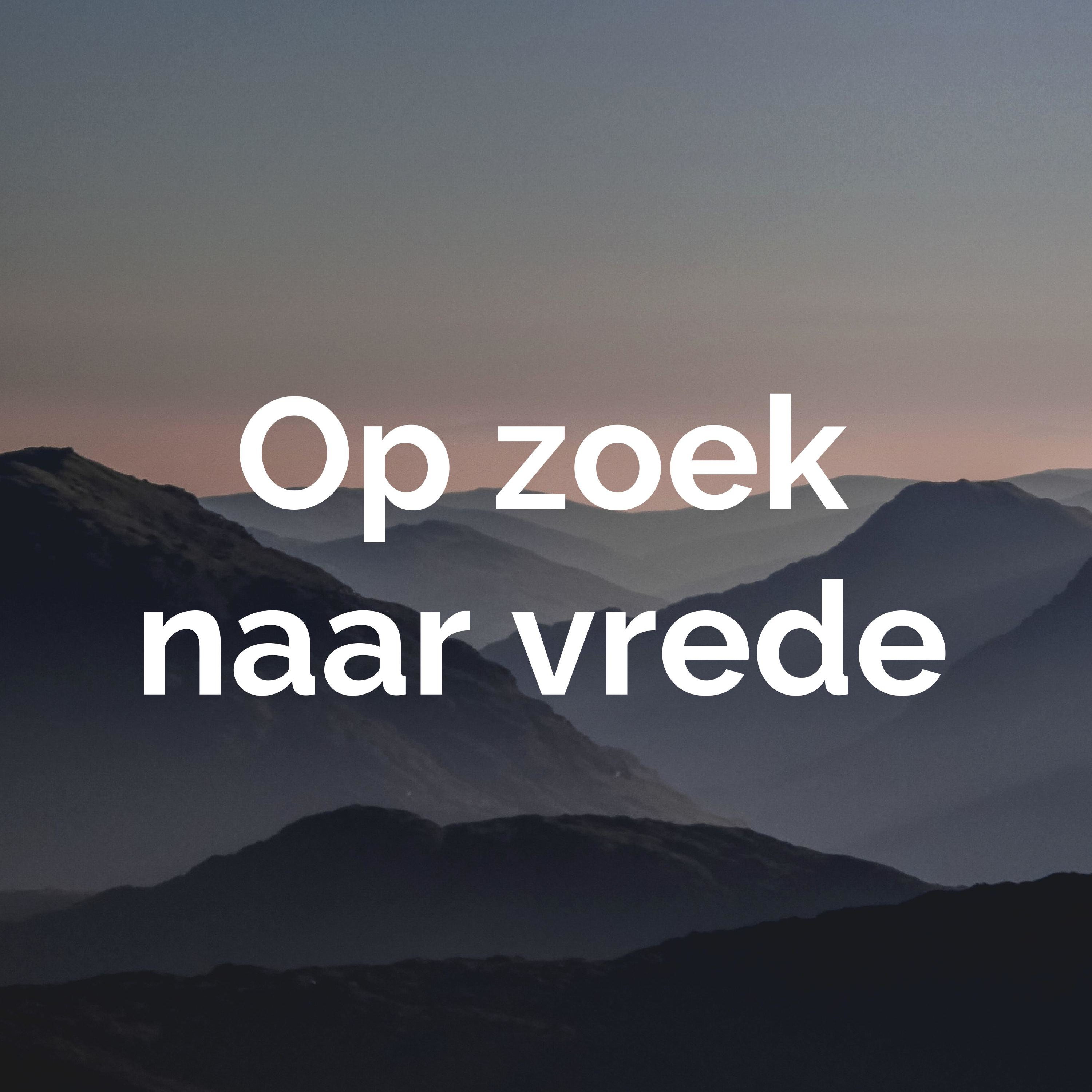 Op zoek naar vrede cover art