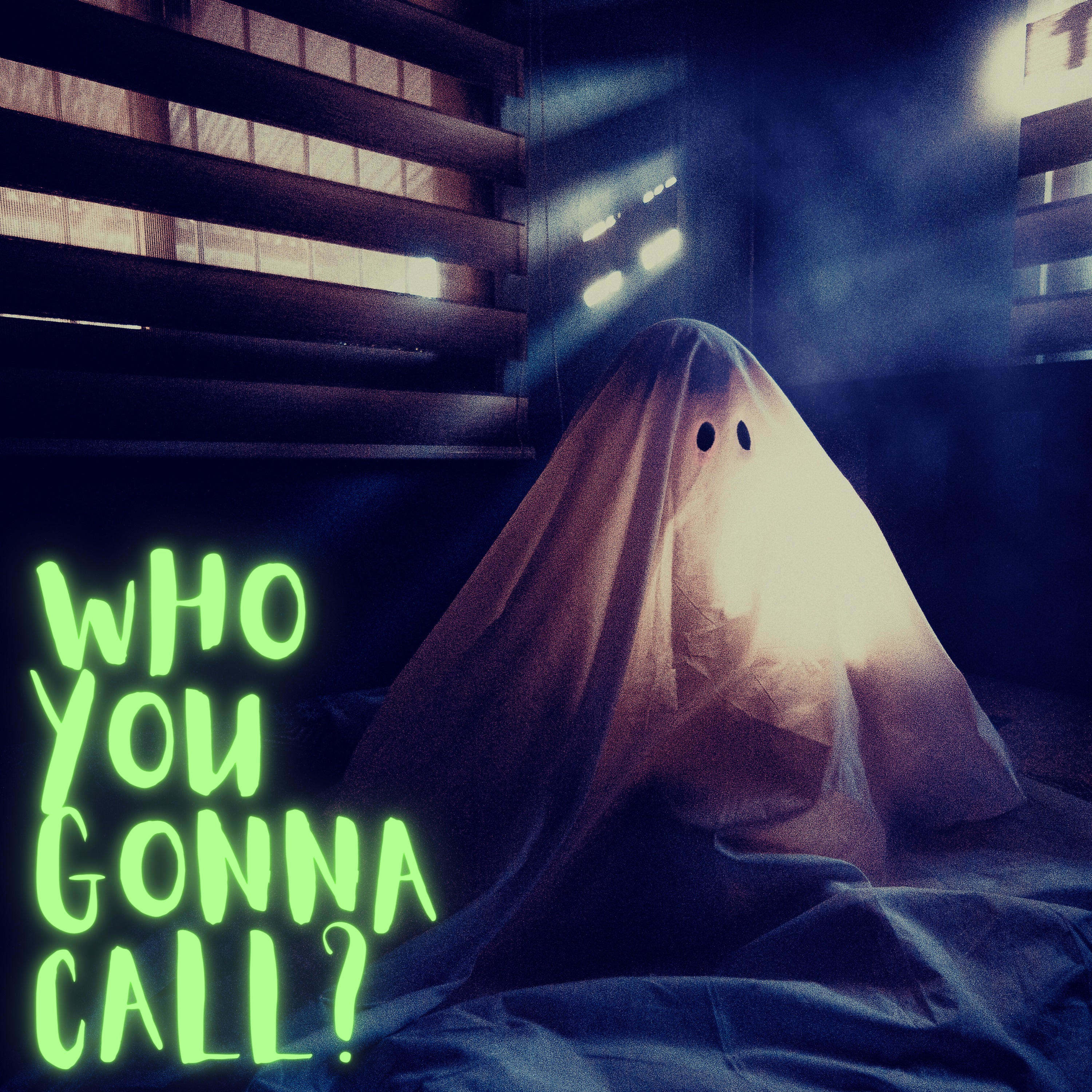 Who You Gonna Call ?