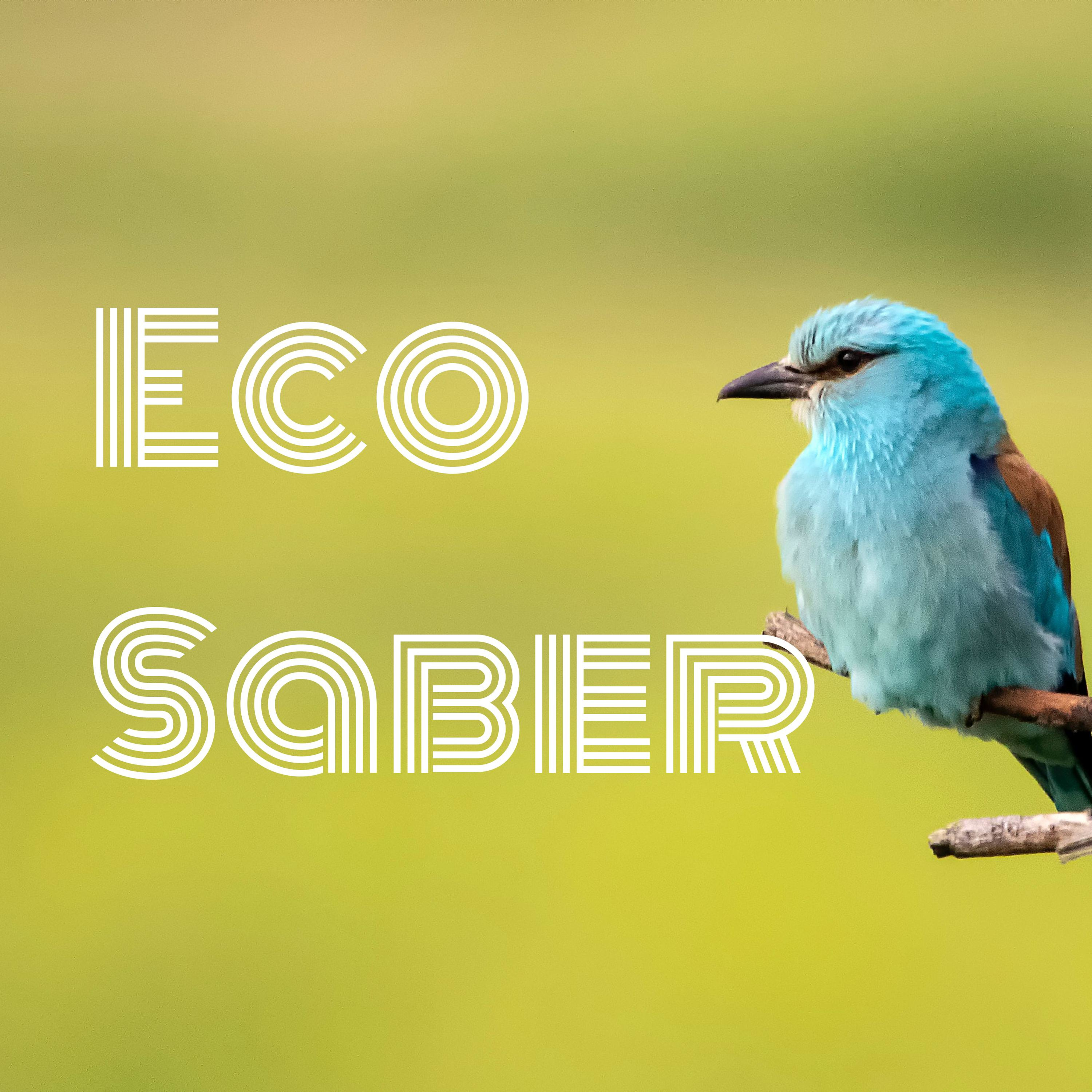 Eco Saber