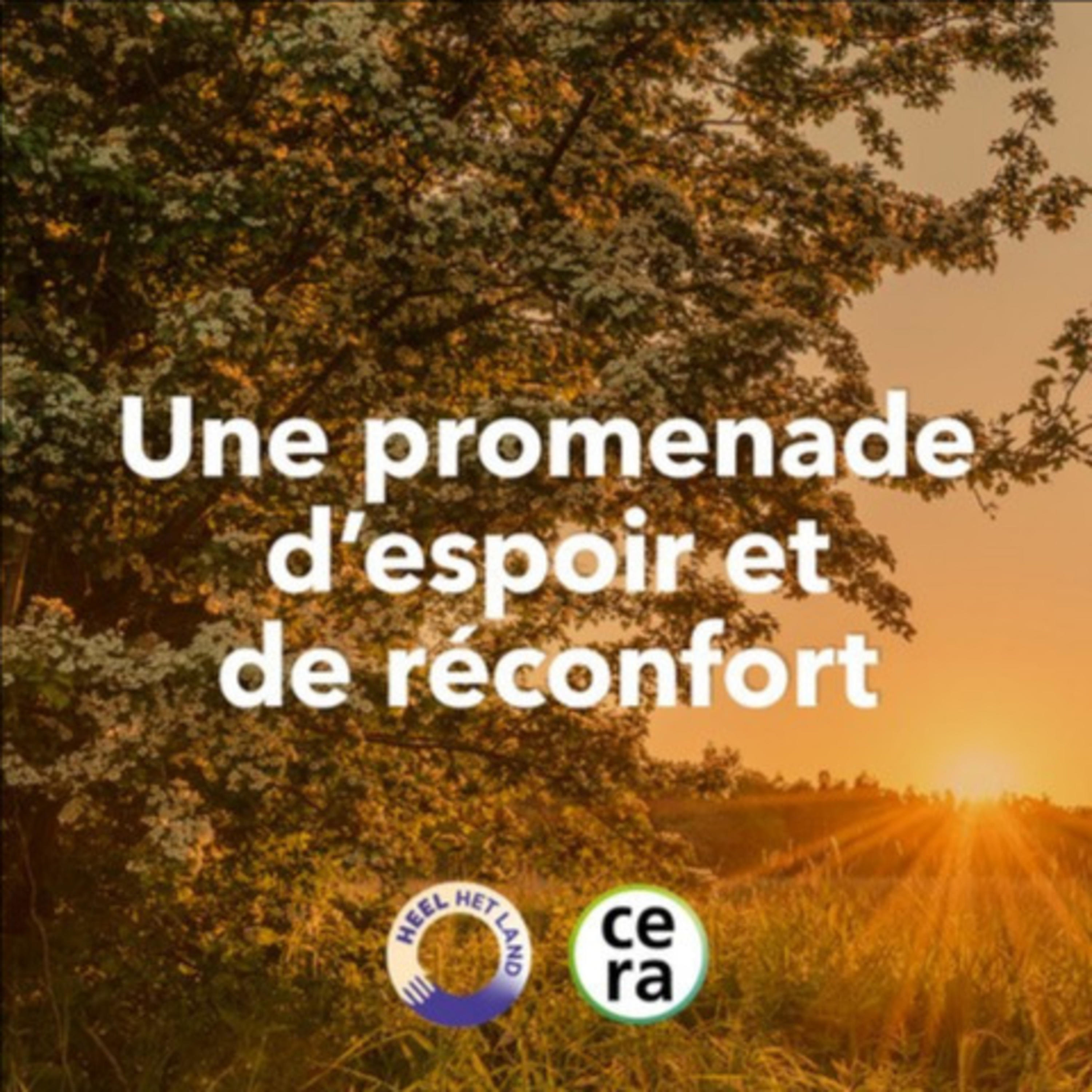 Promenade réconfort