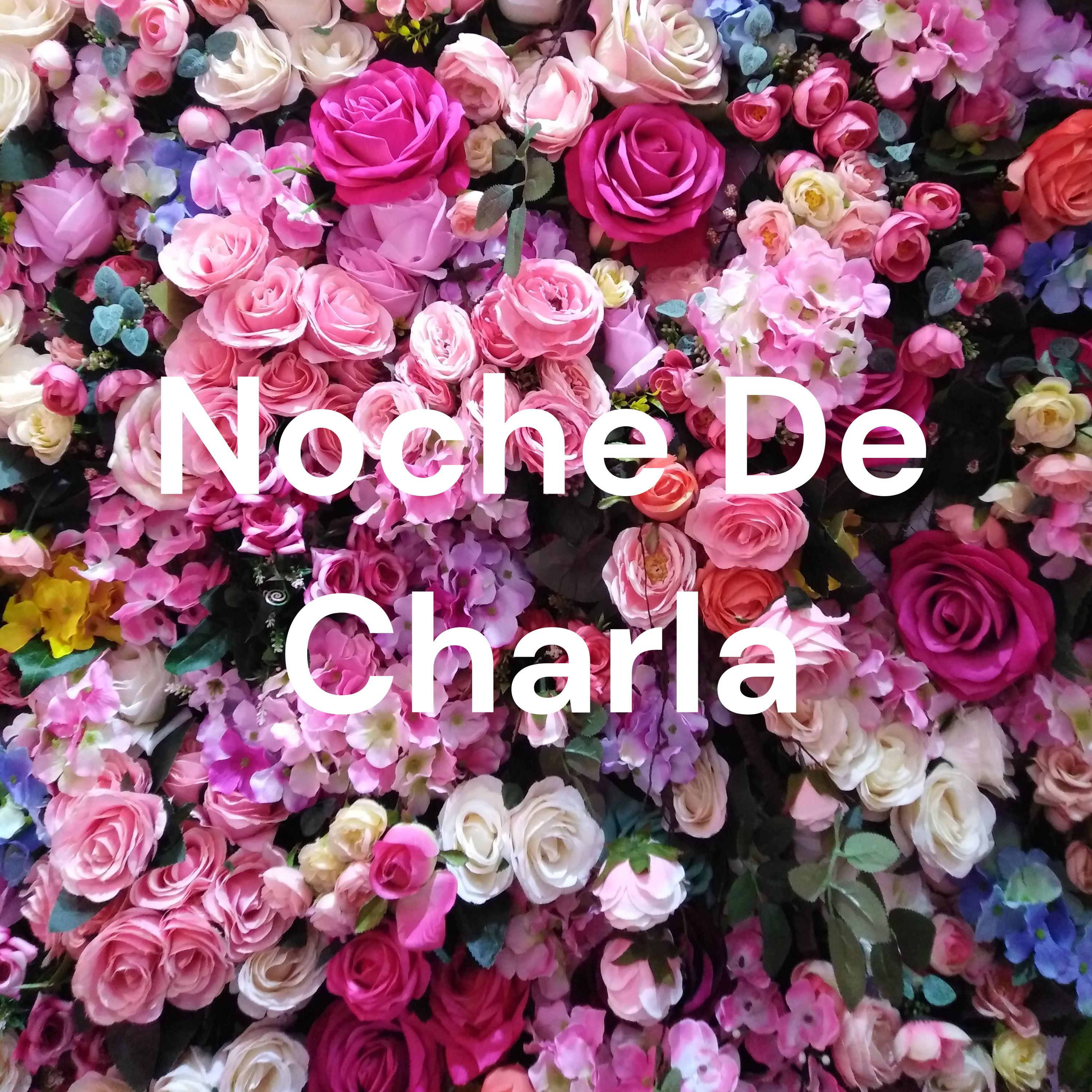 Noche De Charla