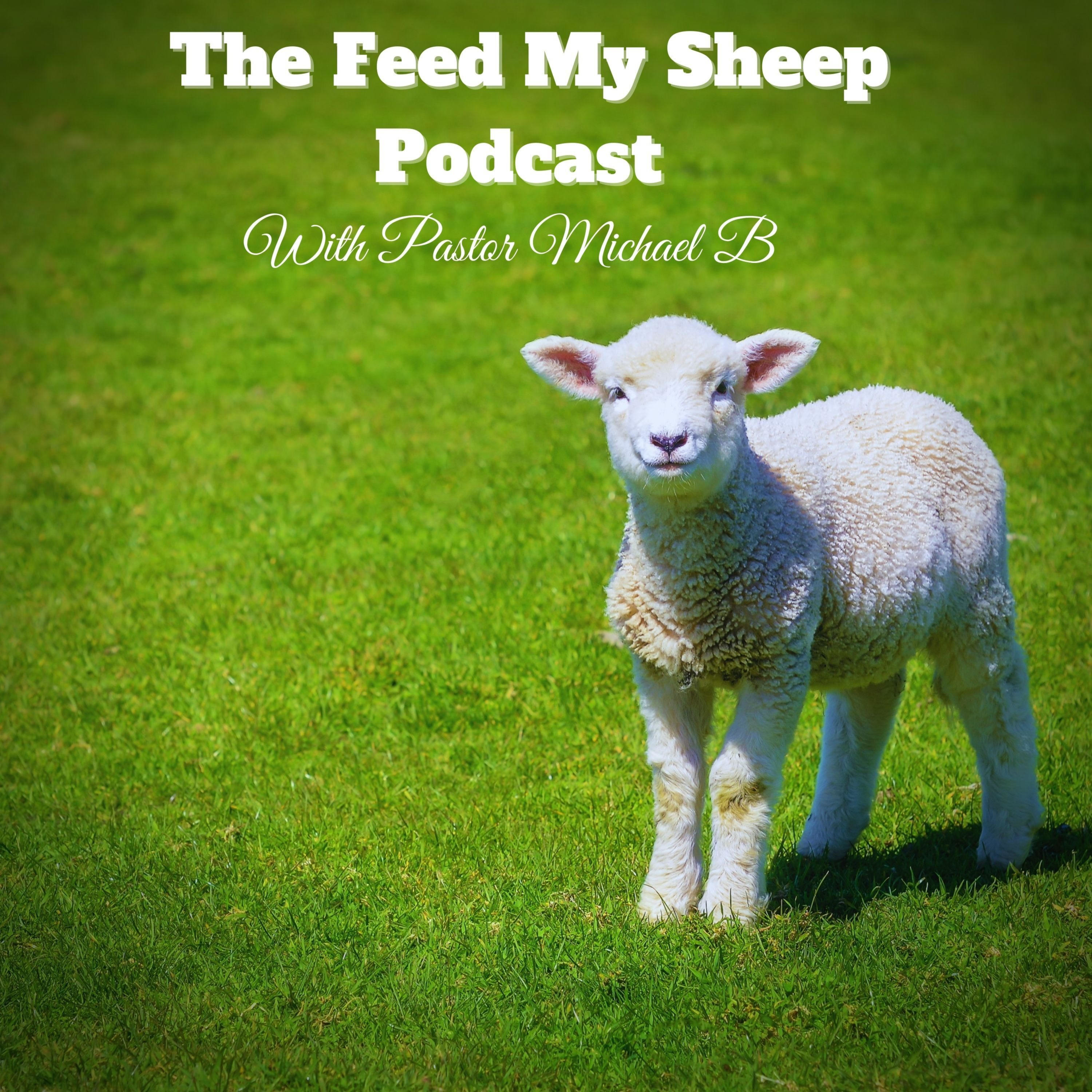 The Feed My Sheep Podcast cover art