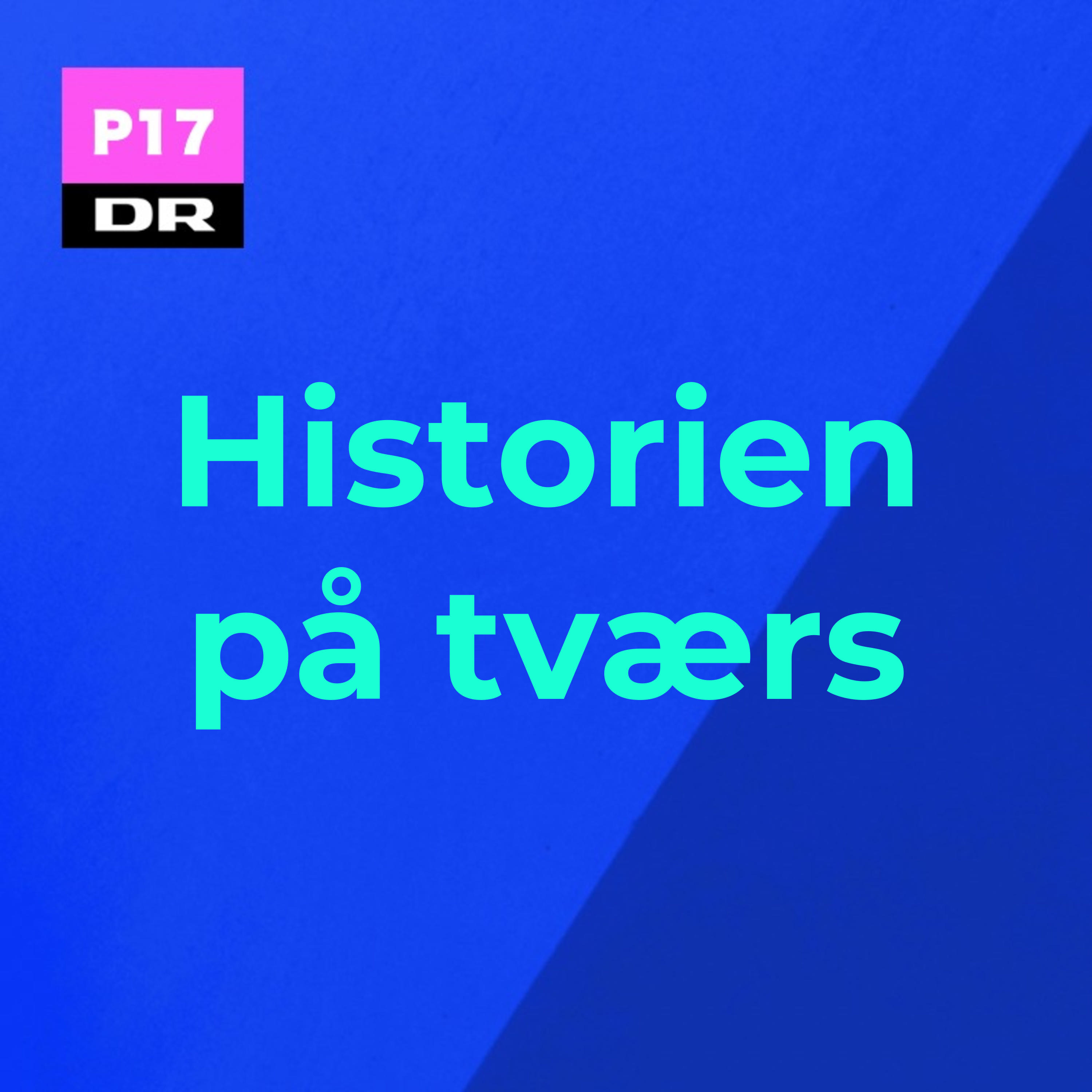 Historien på tværs af Sara Juhl Frandsen