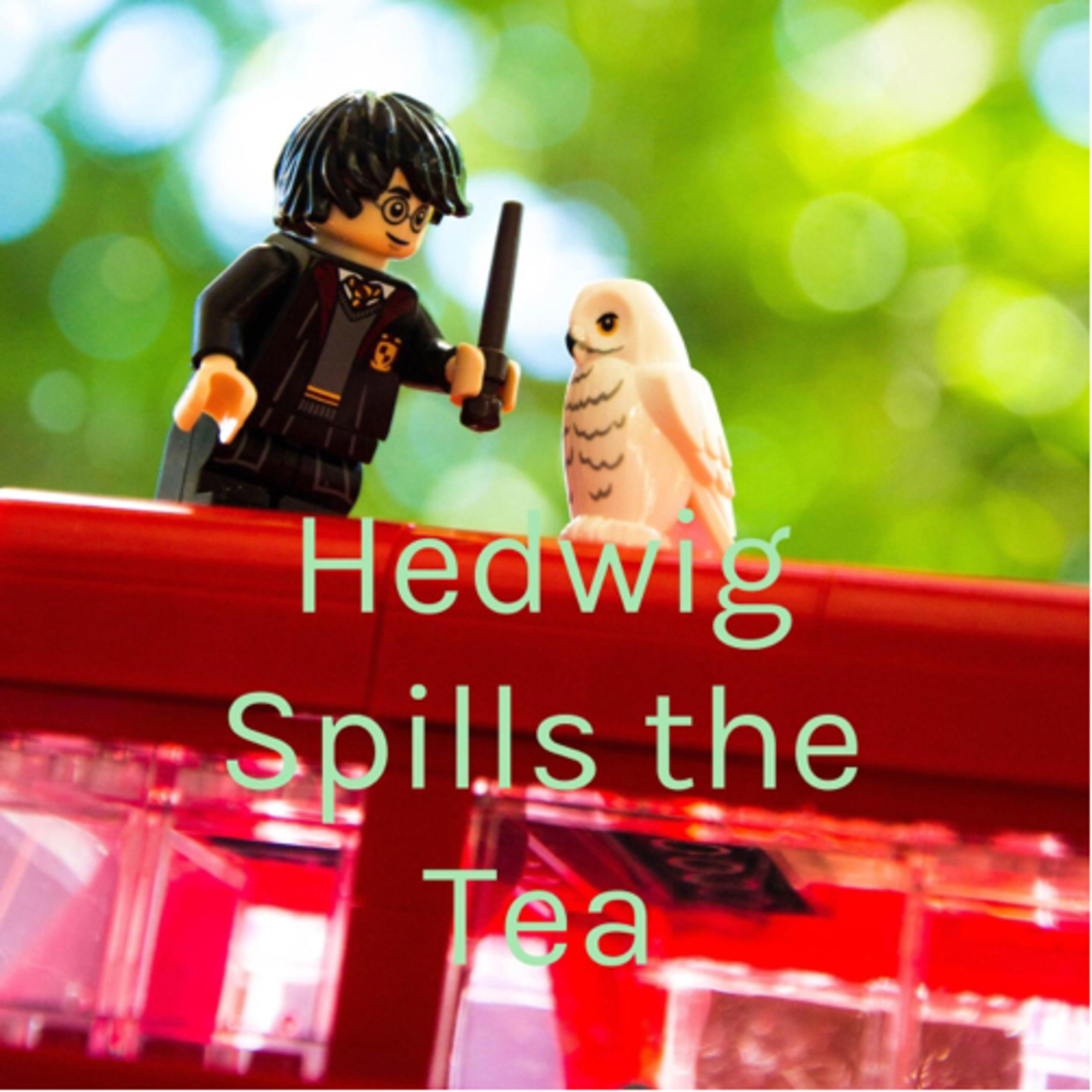 Hedwig Spills the Tea