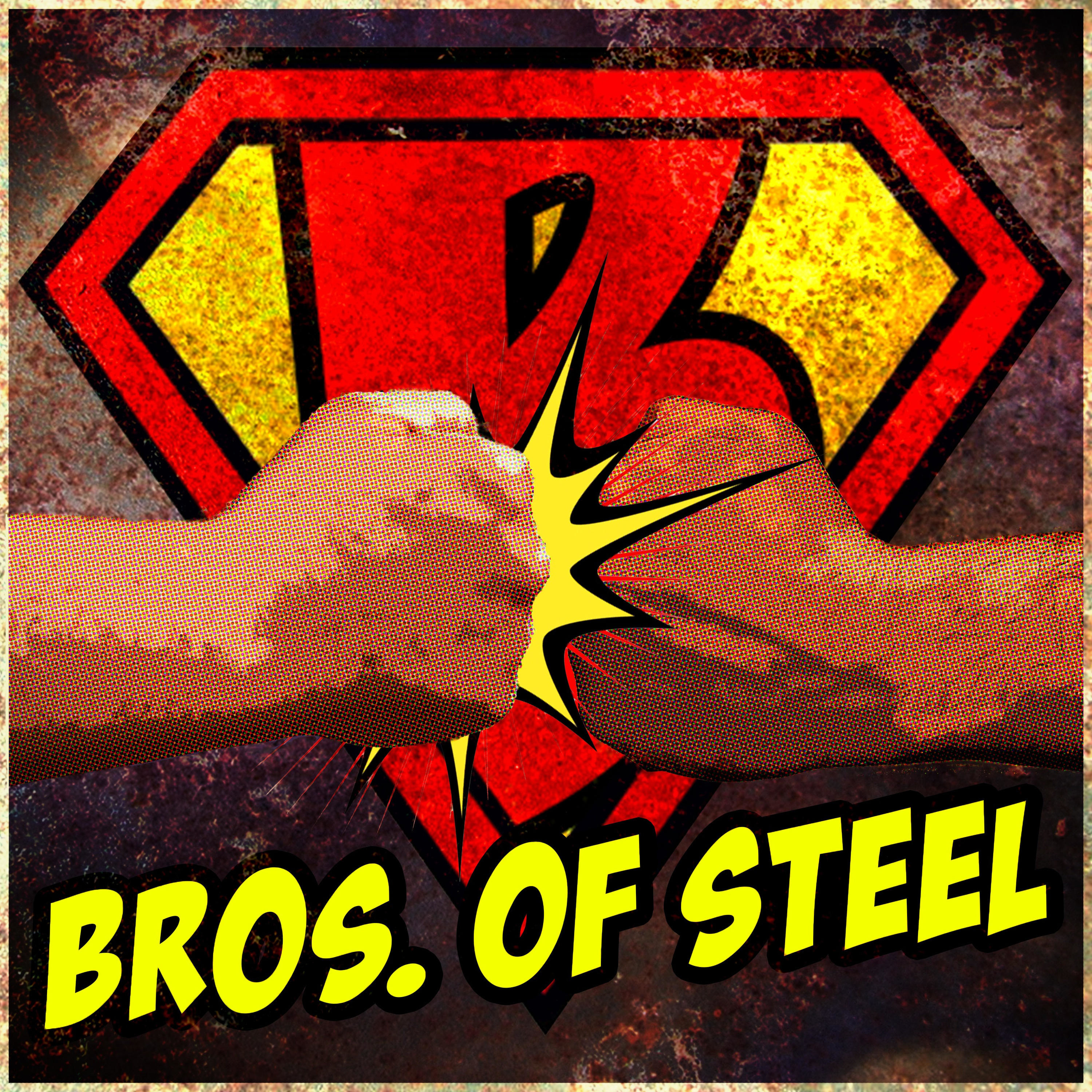 Bros. Of Steel