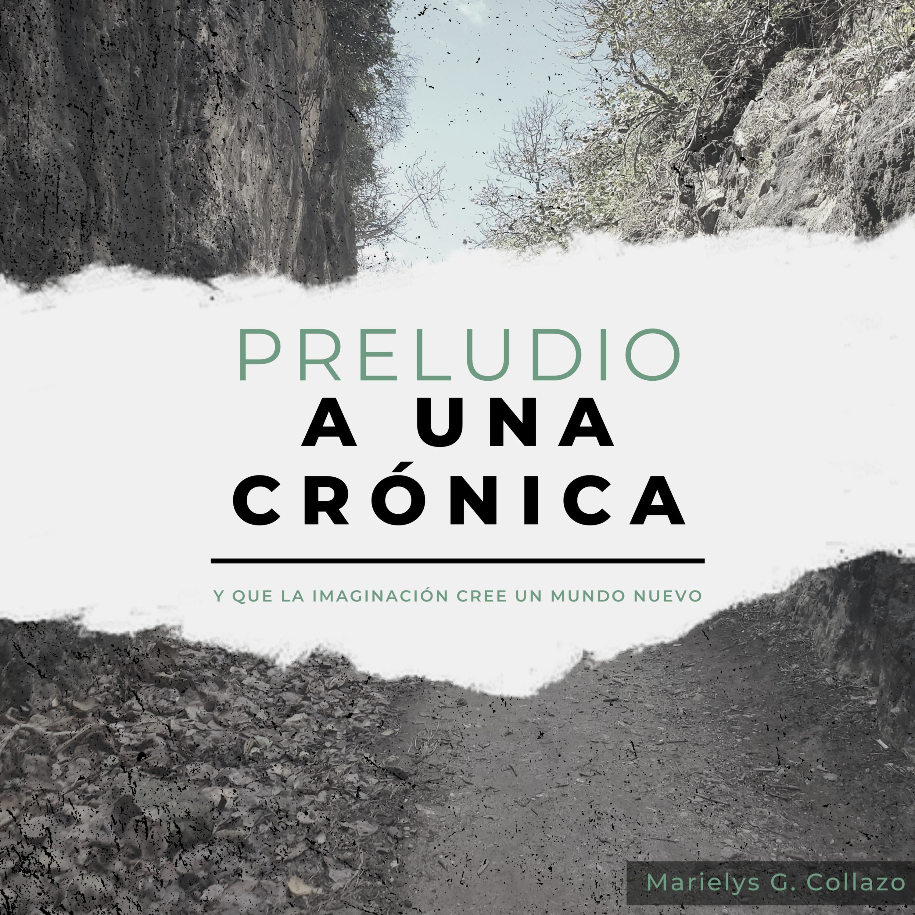 Preludio A Una Crónica