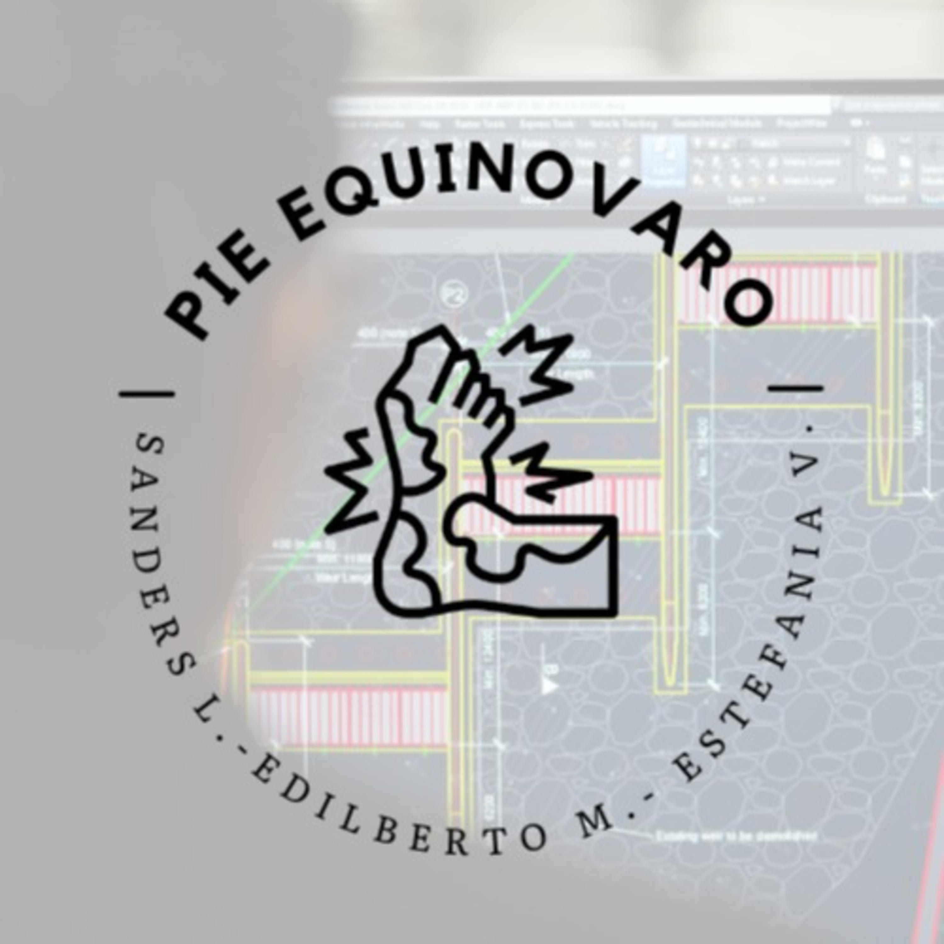 Malformación pediátrica idiopática del pie equinovaro