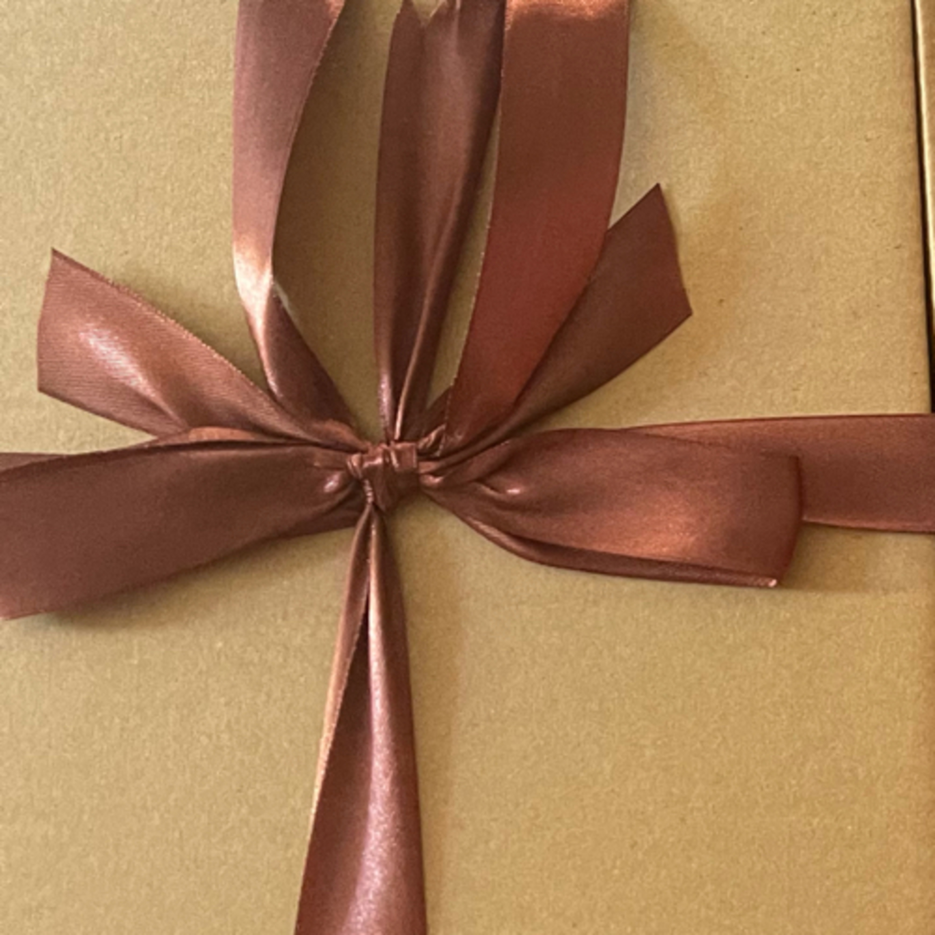 Teori Bu Dosen cover art