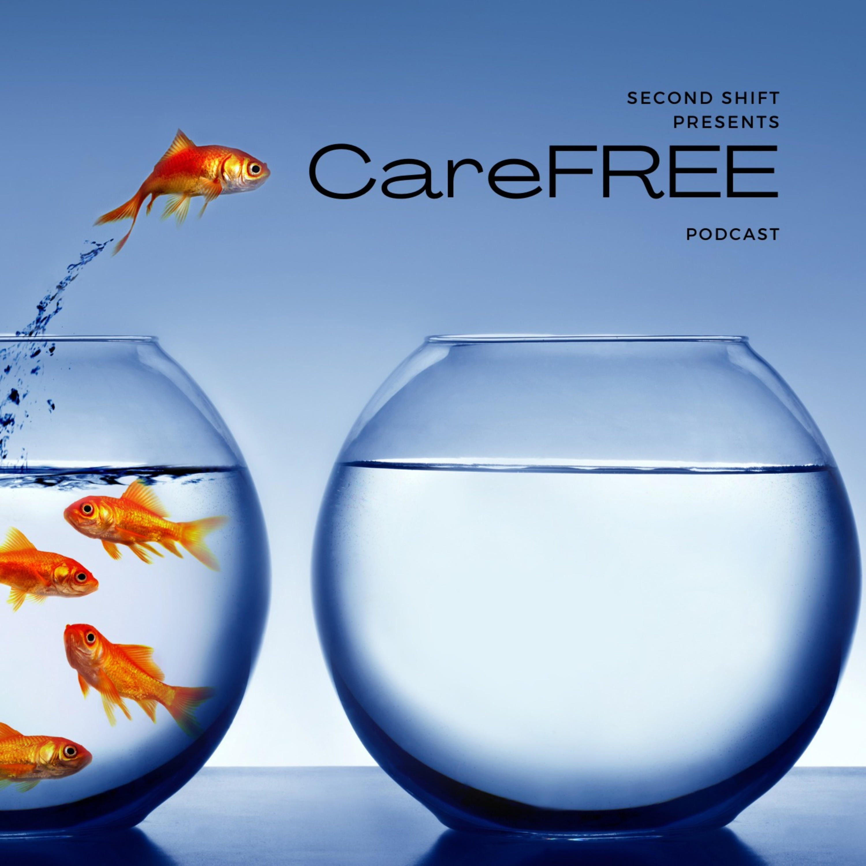 CareFREE cover art