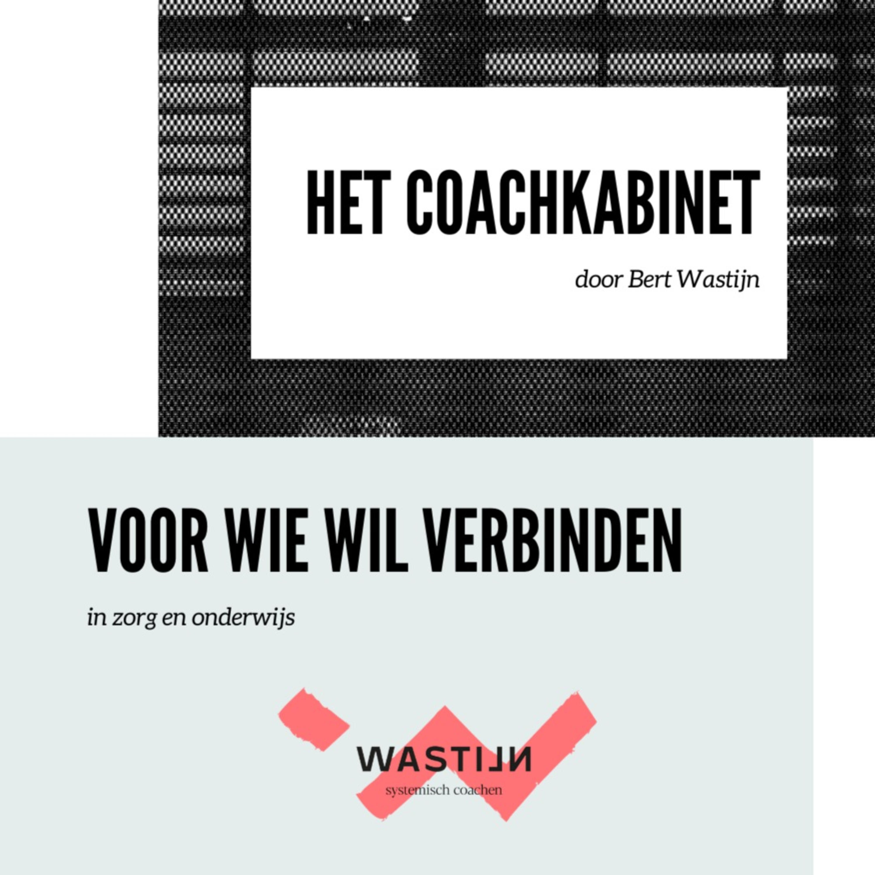 Het Coachkabinet