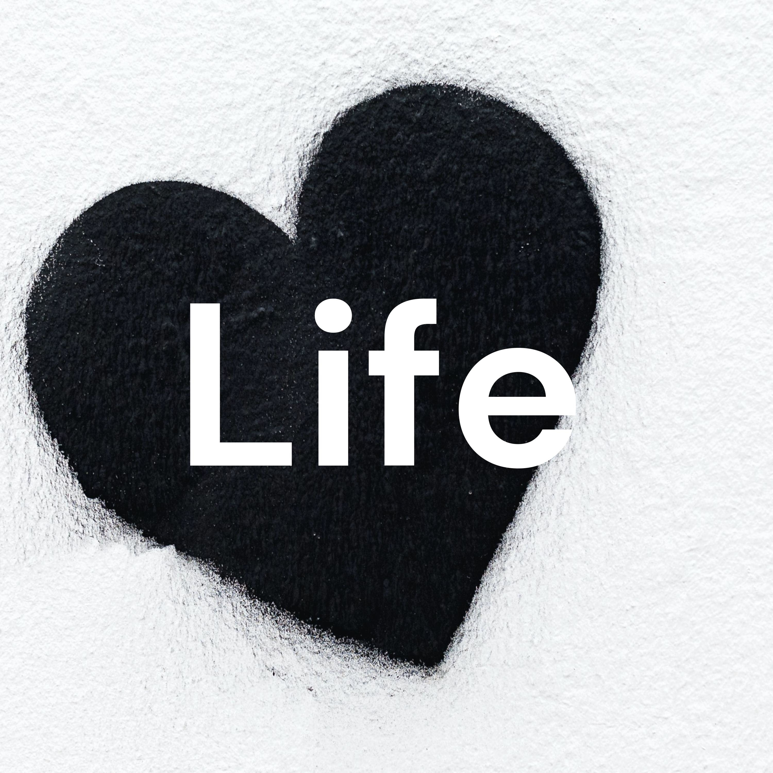 Life