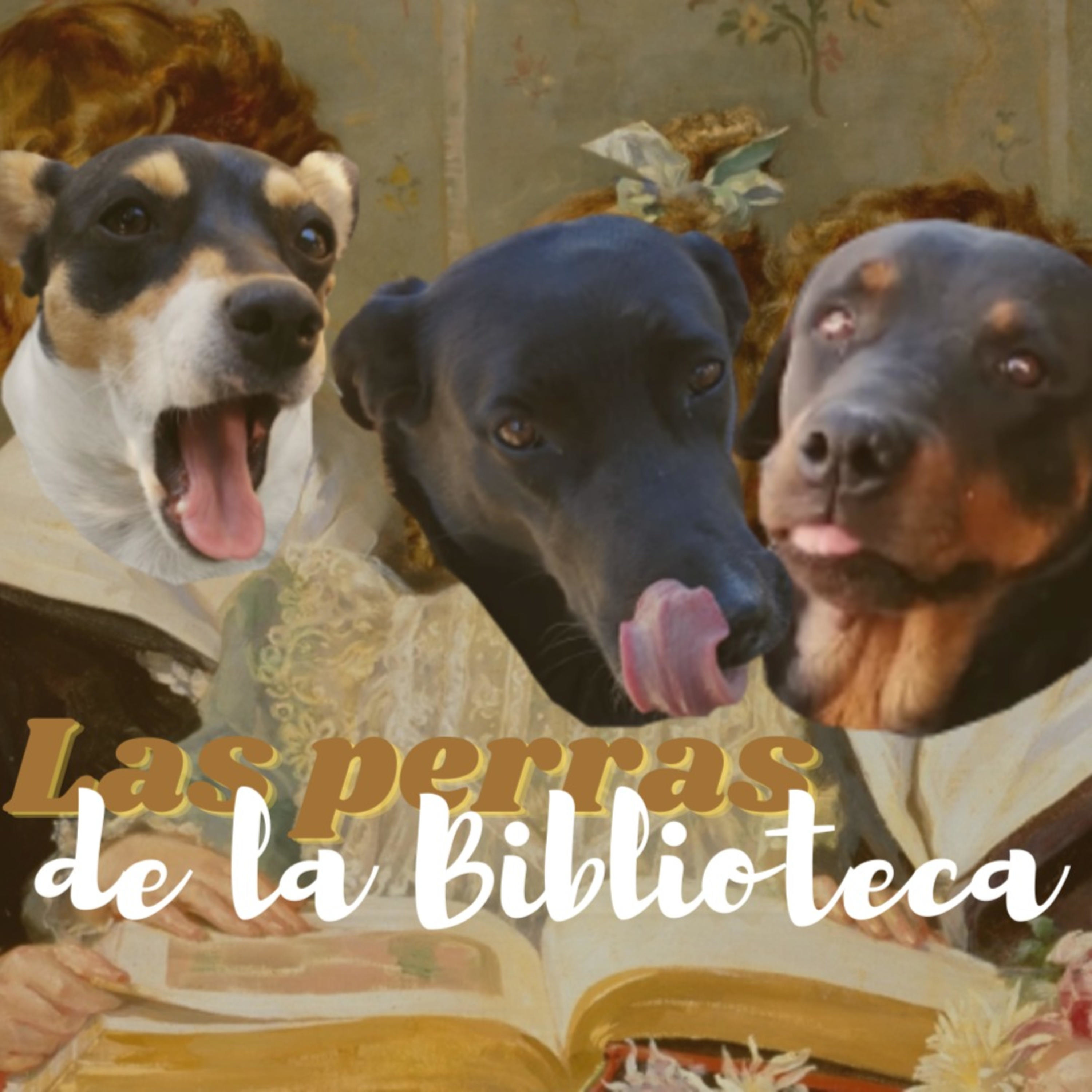 Las perras de la biblioteca cover art