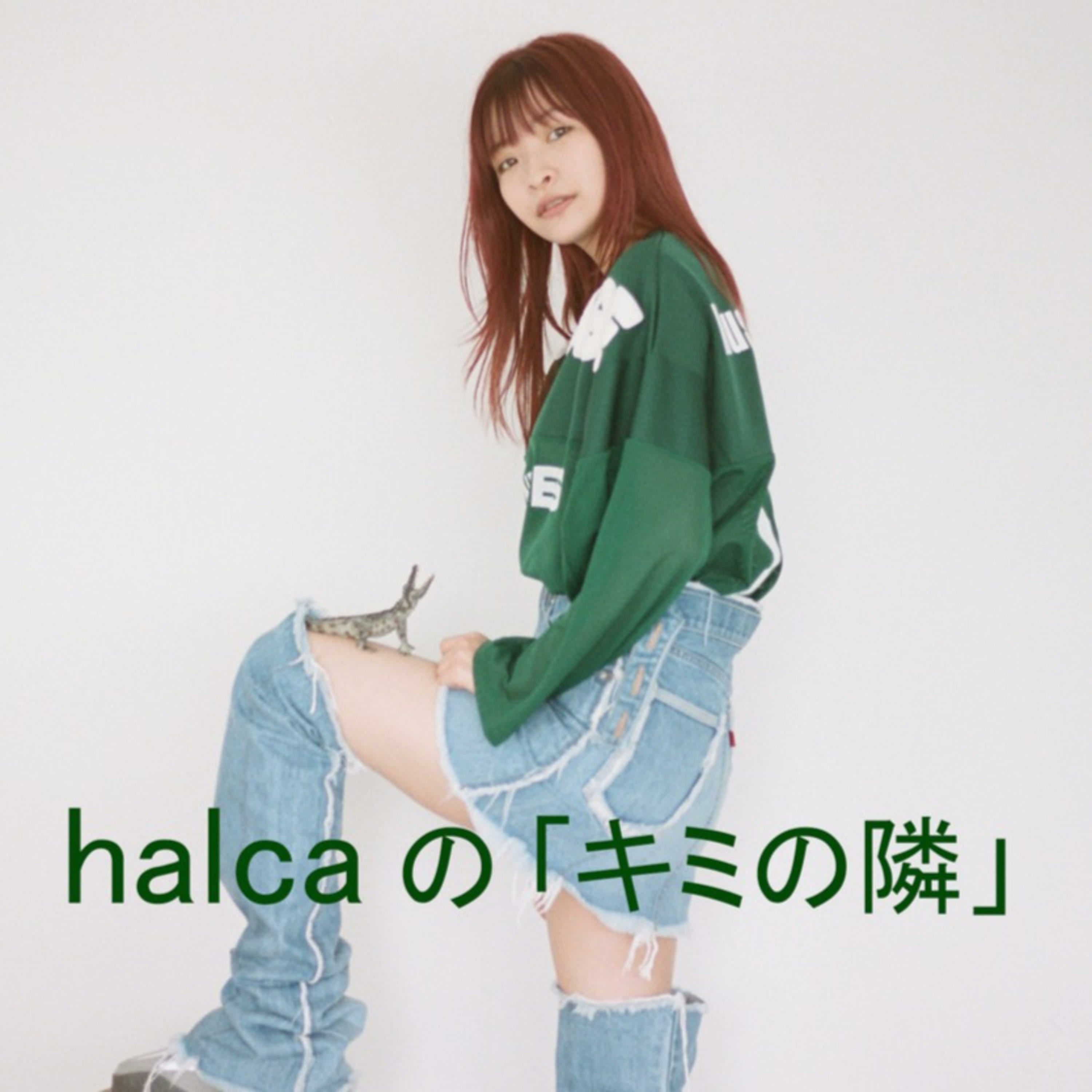 2022/11/23 halcaの「キミの隣」 episode artwork