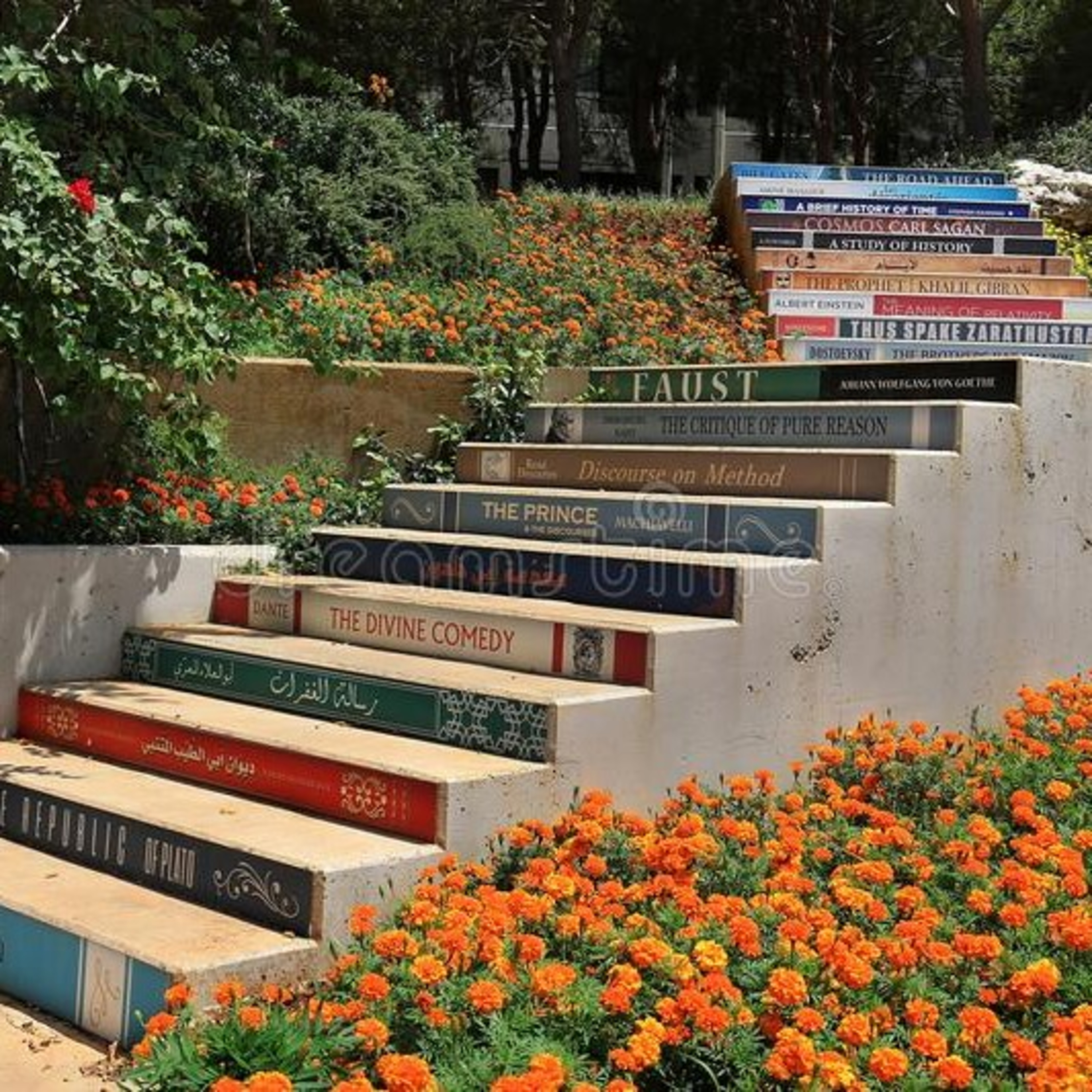 Até O Último Livro cover art