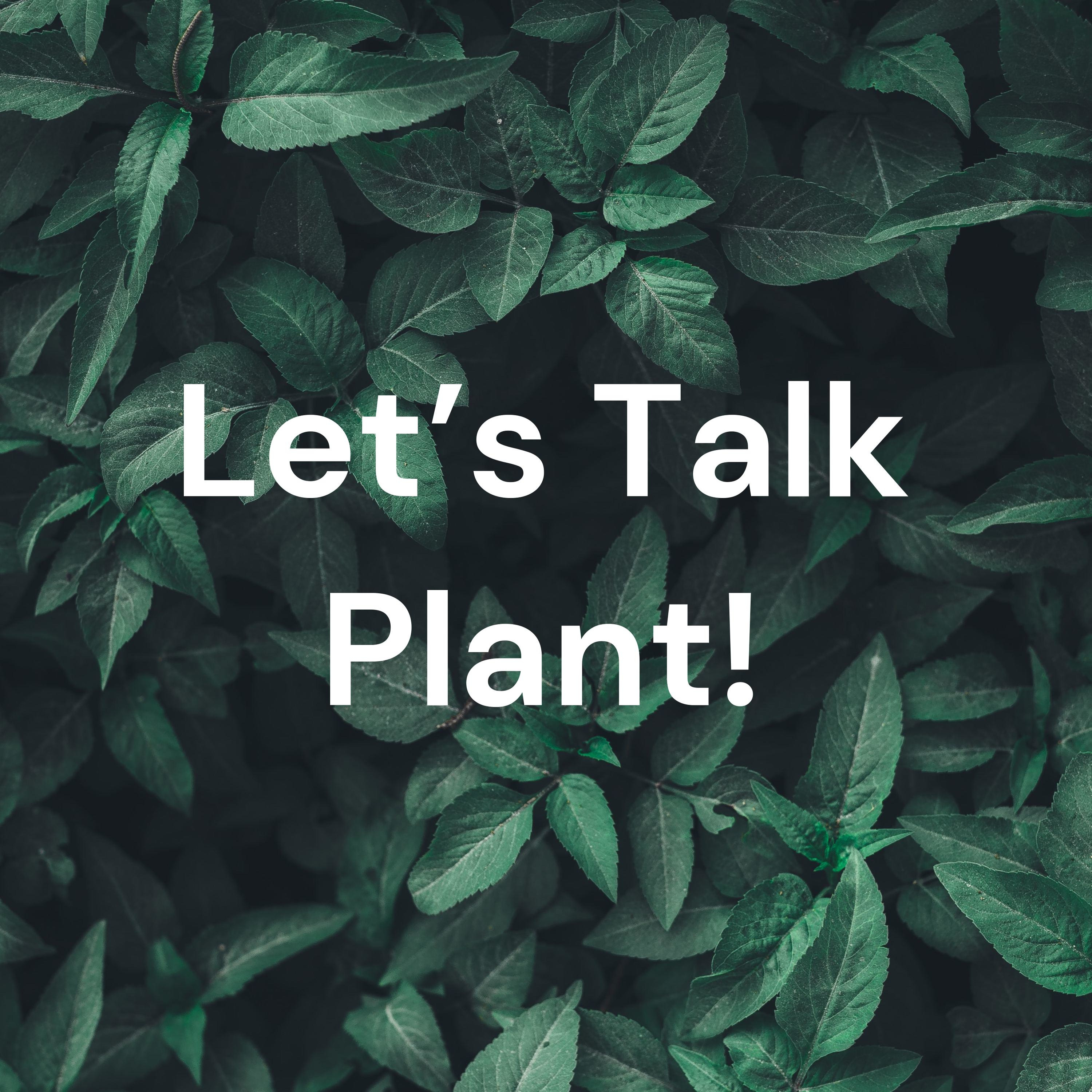 Let's Talk Plant!