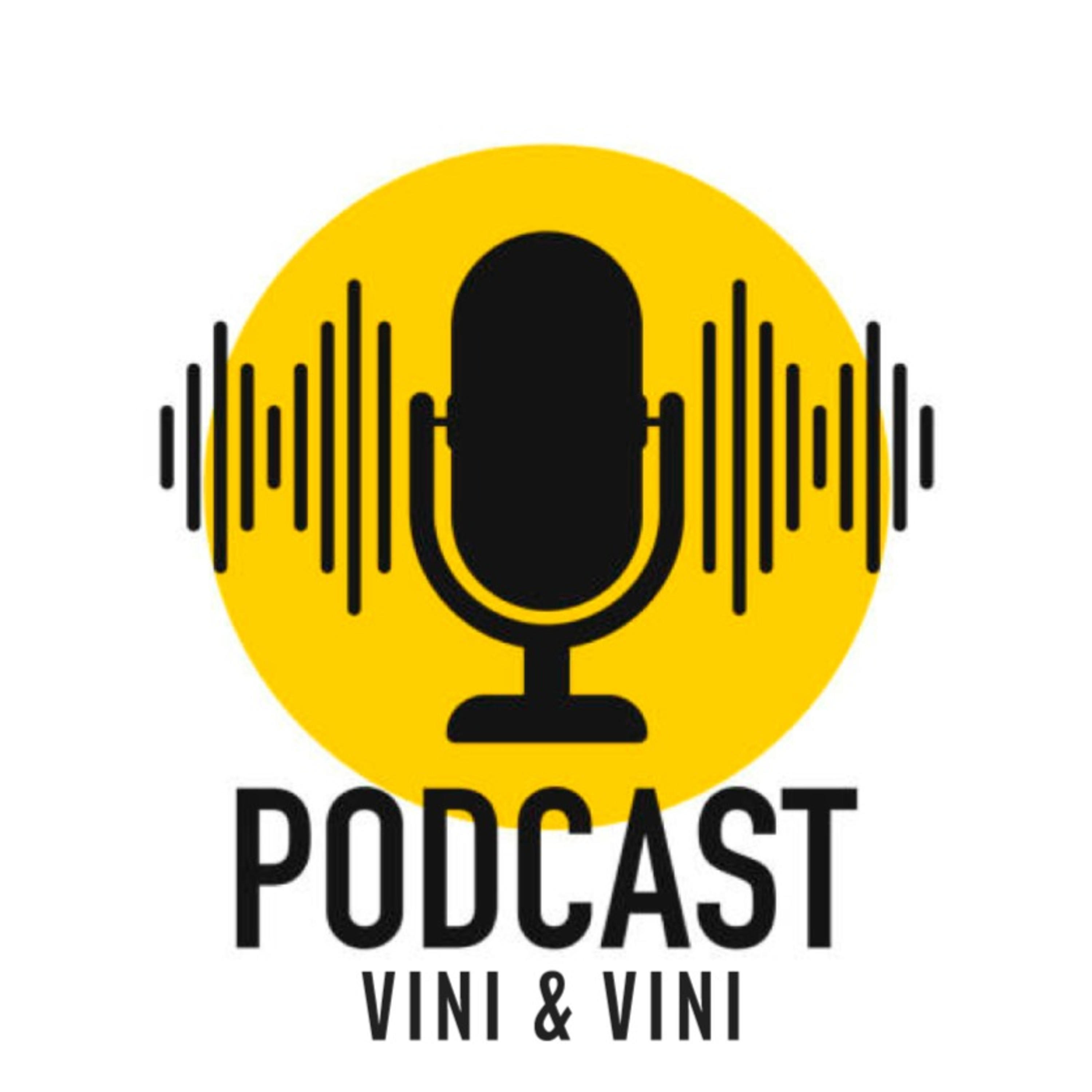 PODCAST VINI & VINI podcast artwork