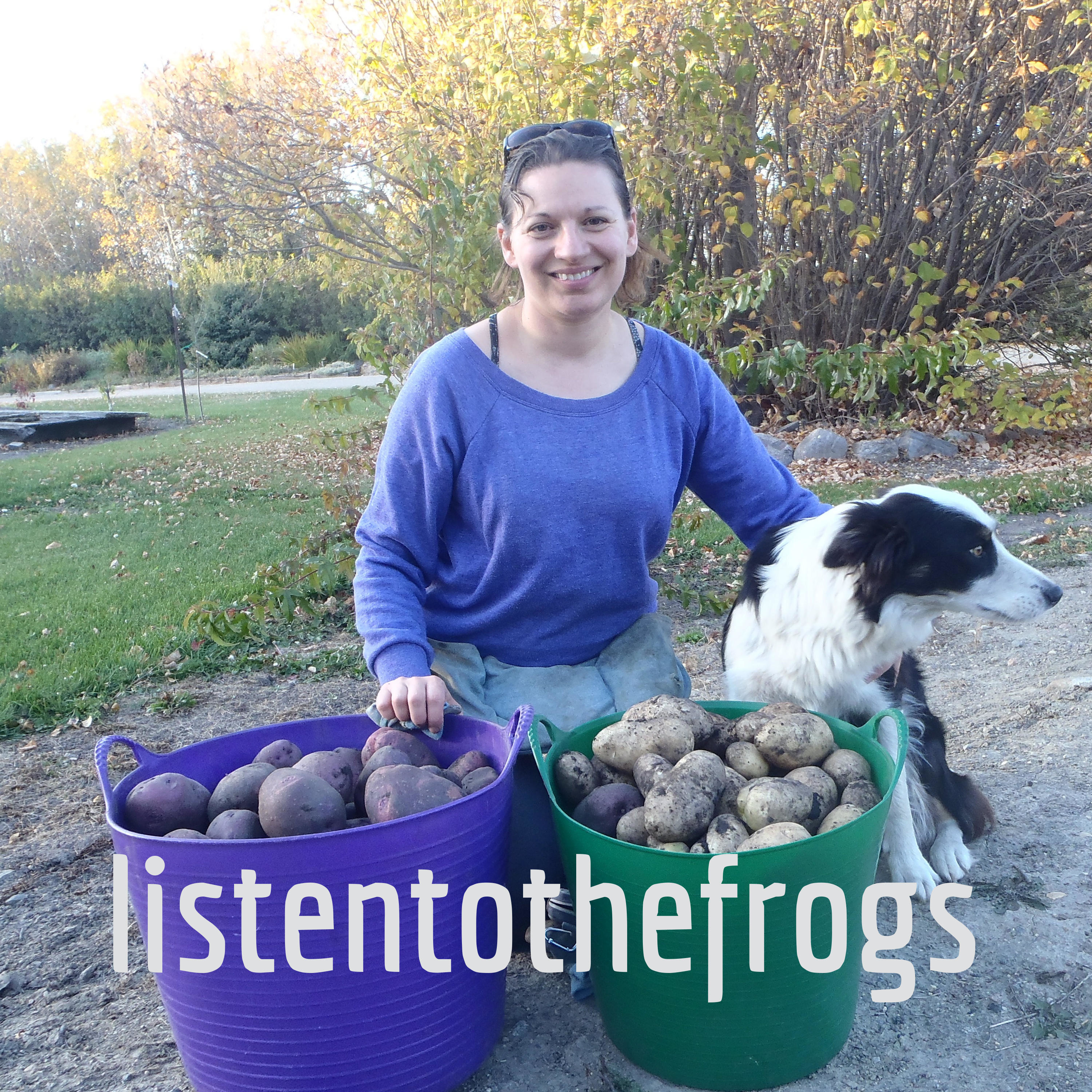 listentothefrogs