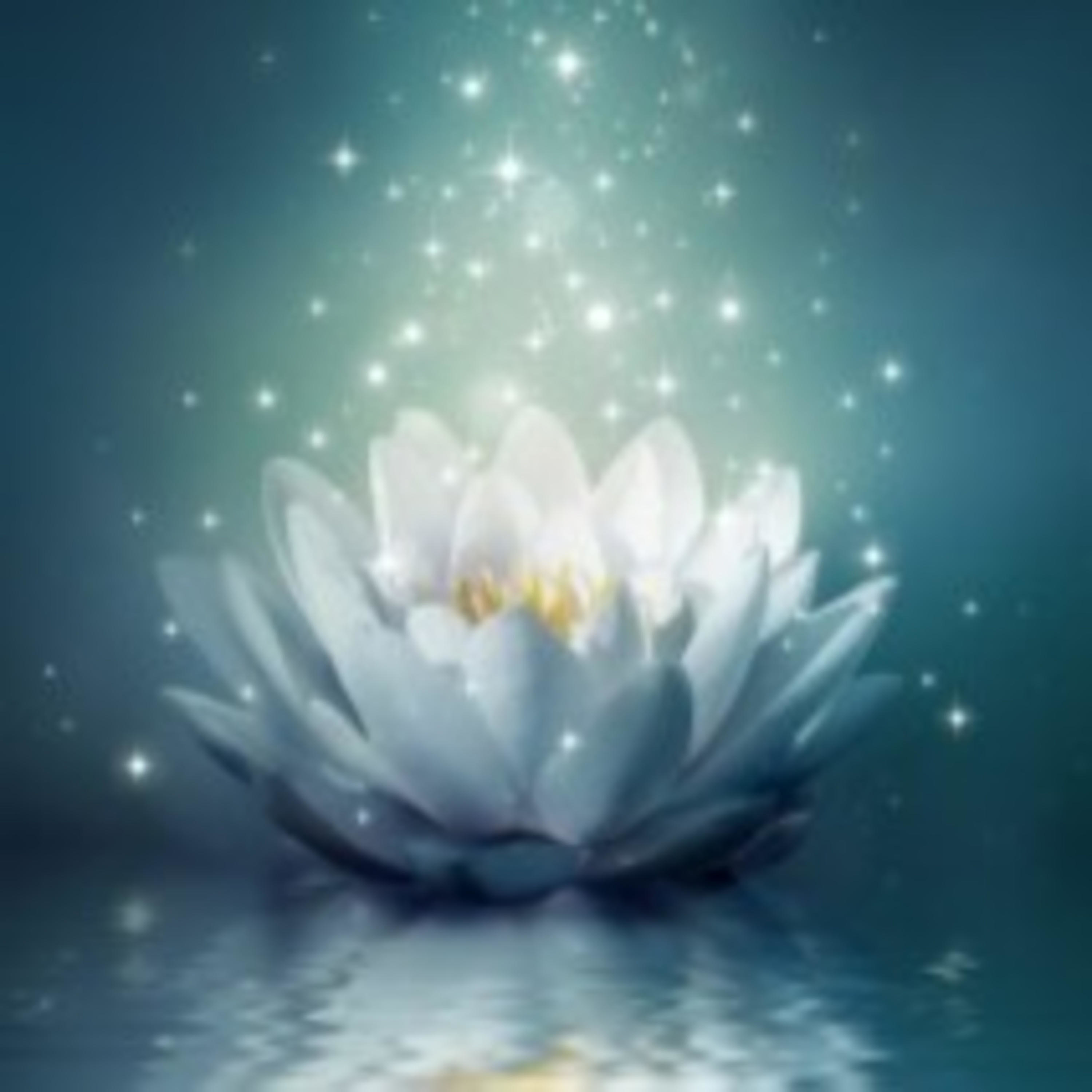 PARAMHANS LOTUS