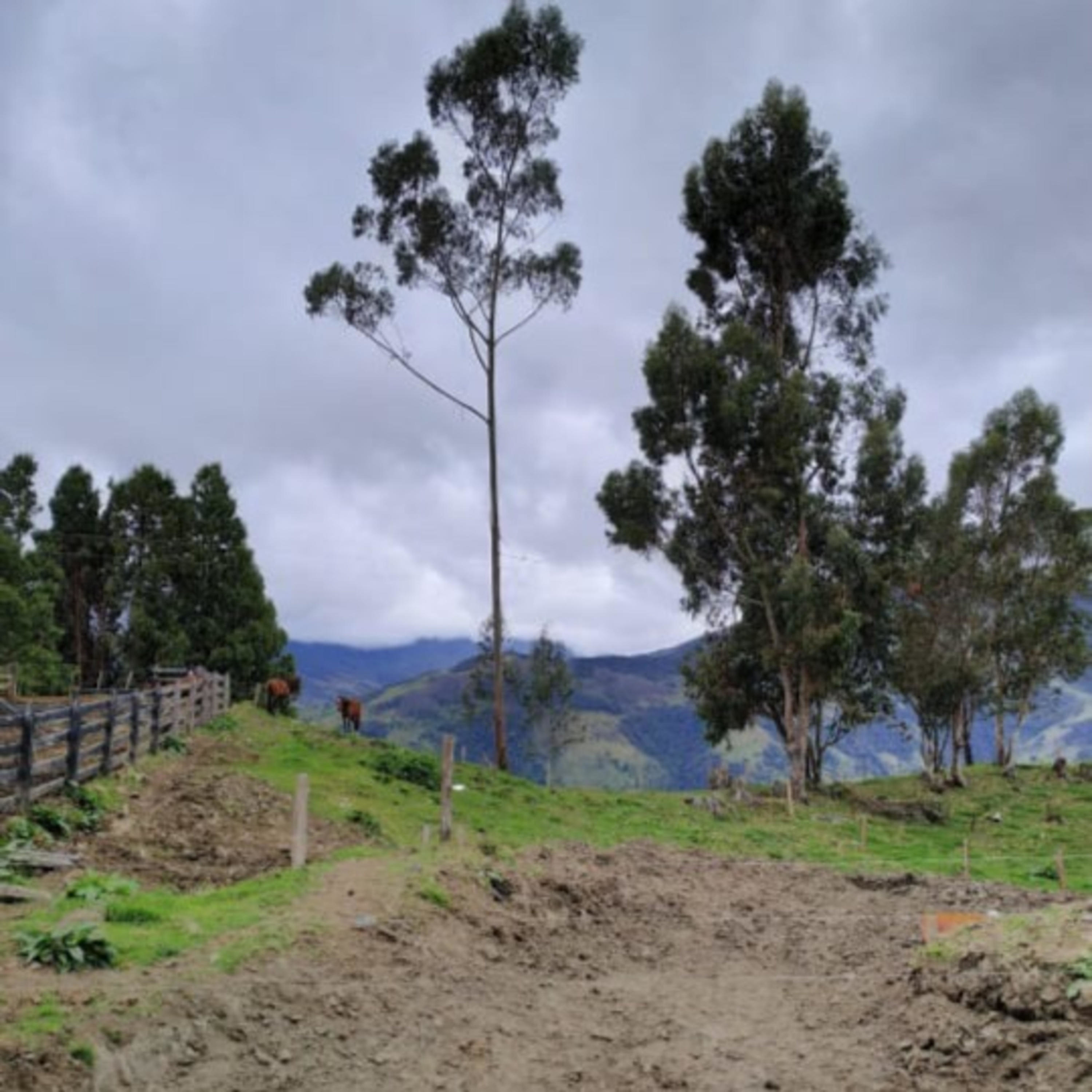 La violencia y el olvido de un pueblo que se detuvo en el tiempo(barragan) cover art