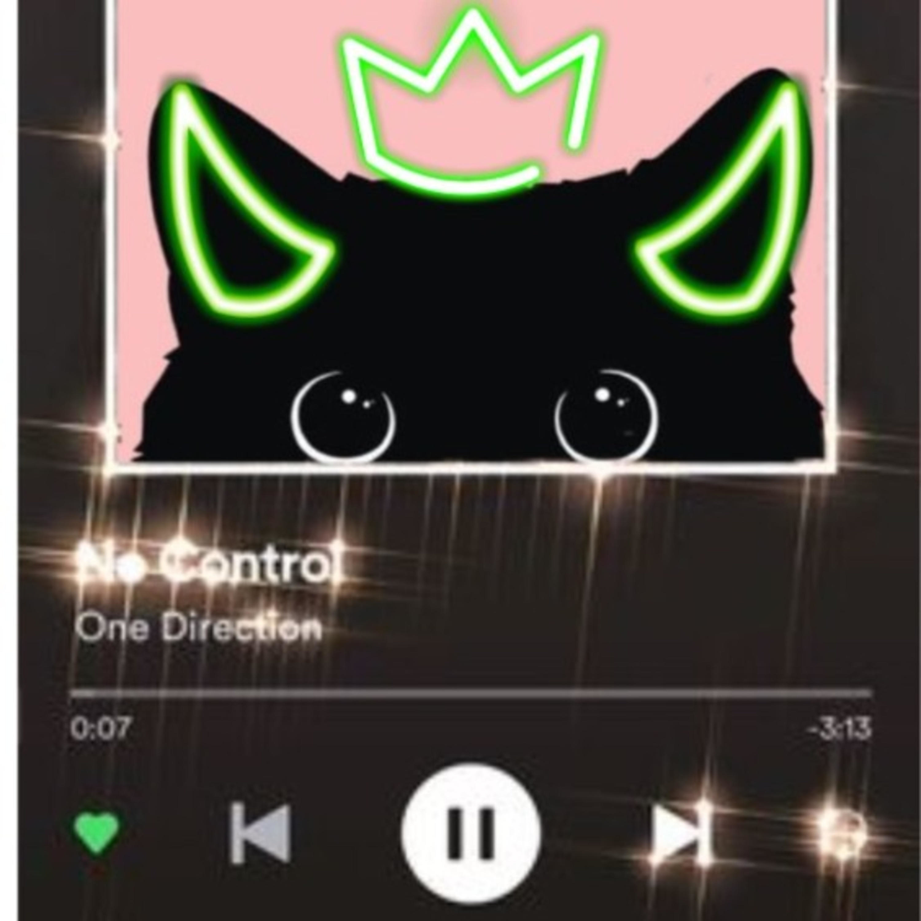 The Diary of a an Average Teenager