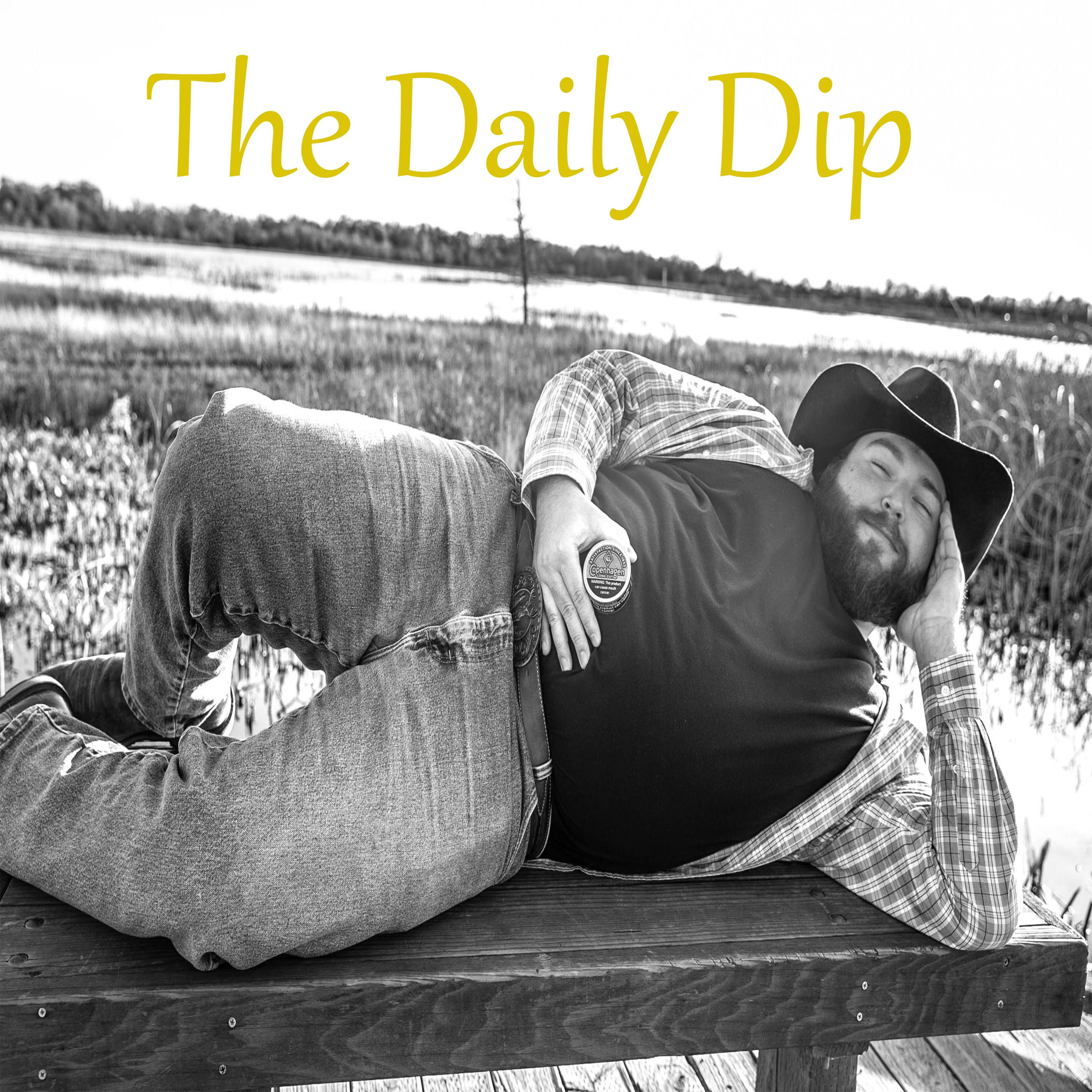 The Daily Dip