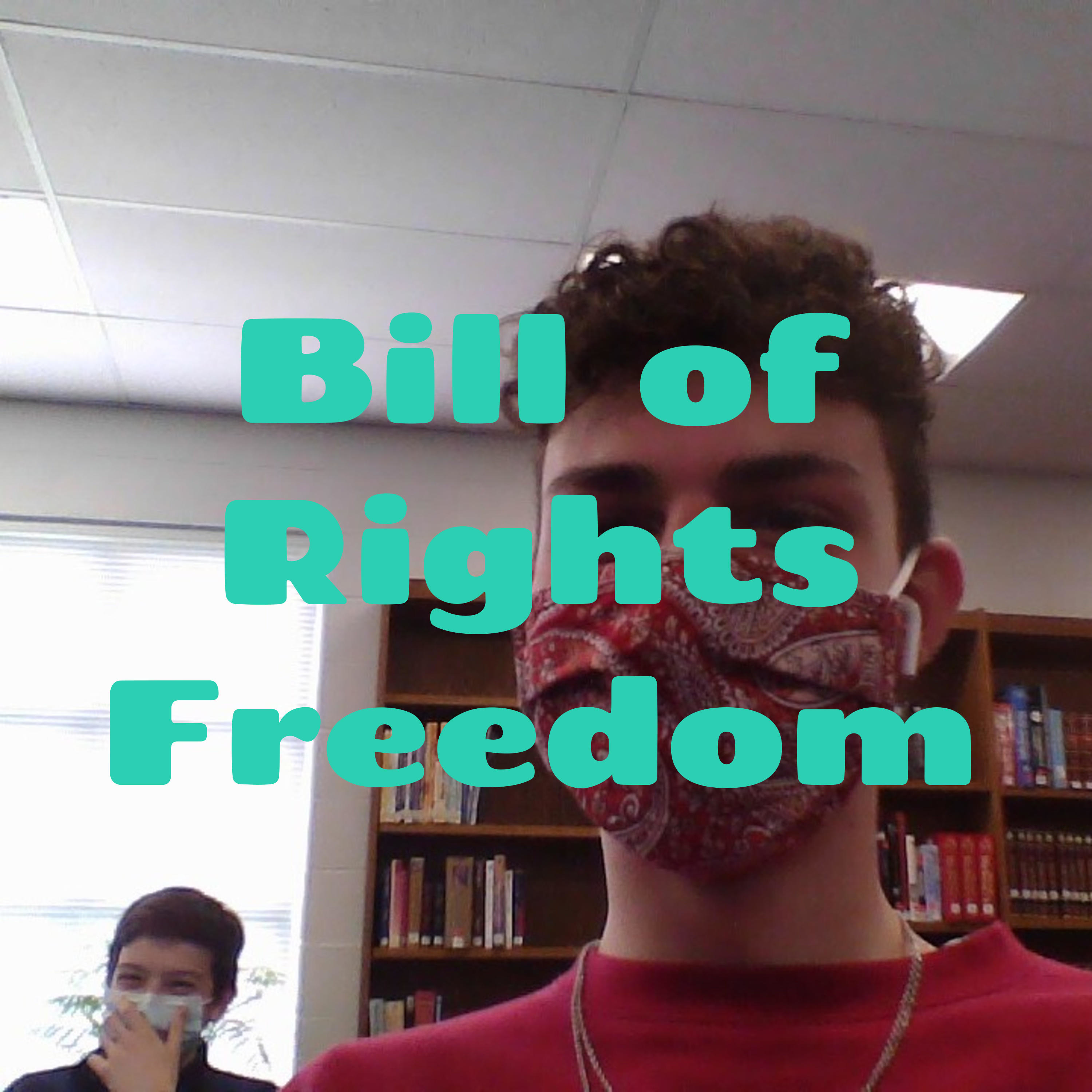 Bill of Rights Freedom