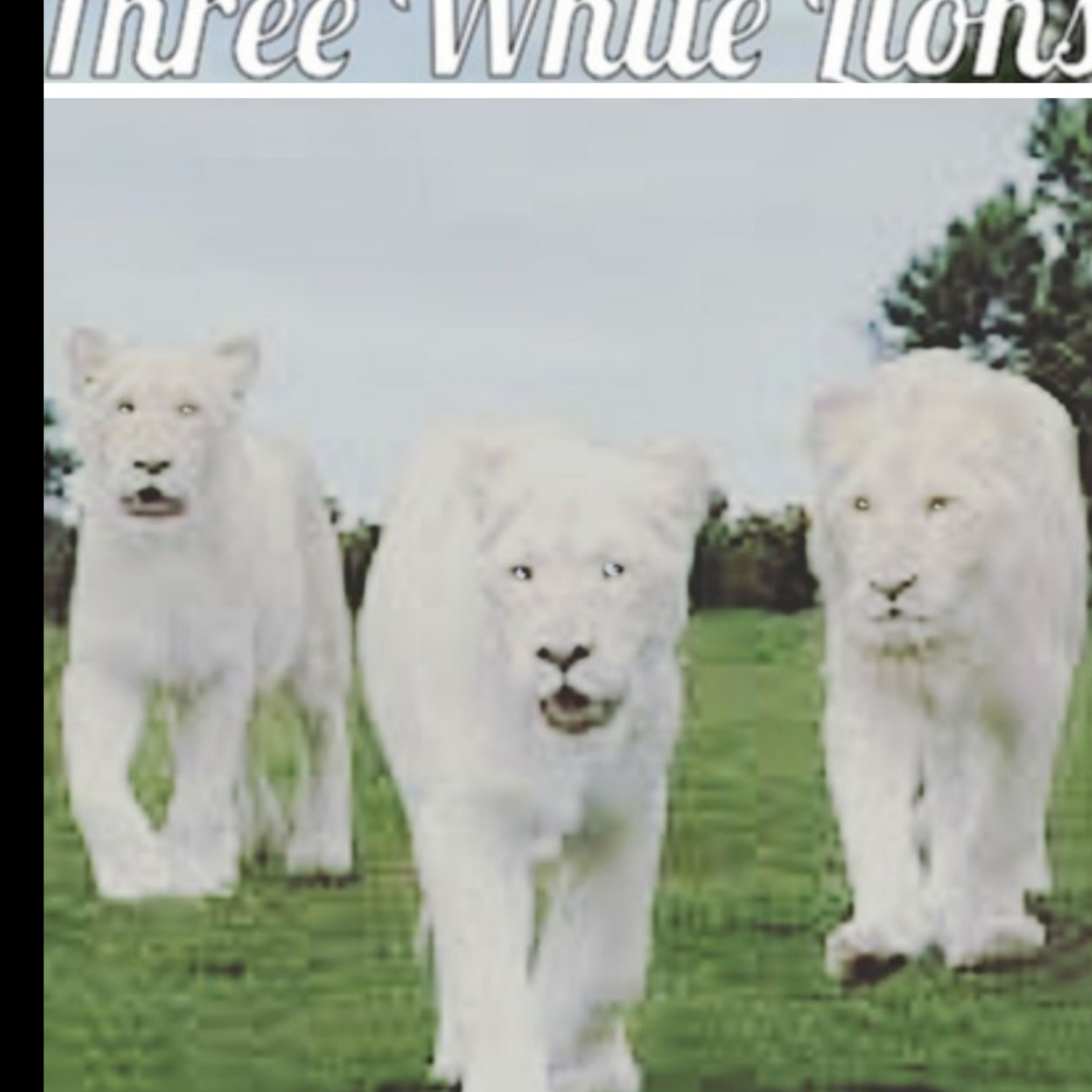 Three White Lions\' NEW! Gloria Christie Amazing Adventurous Bedtime Story for ages 4--84 and beyond!