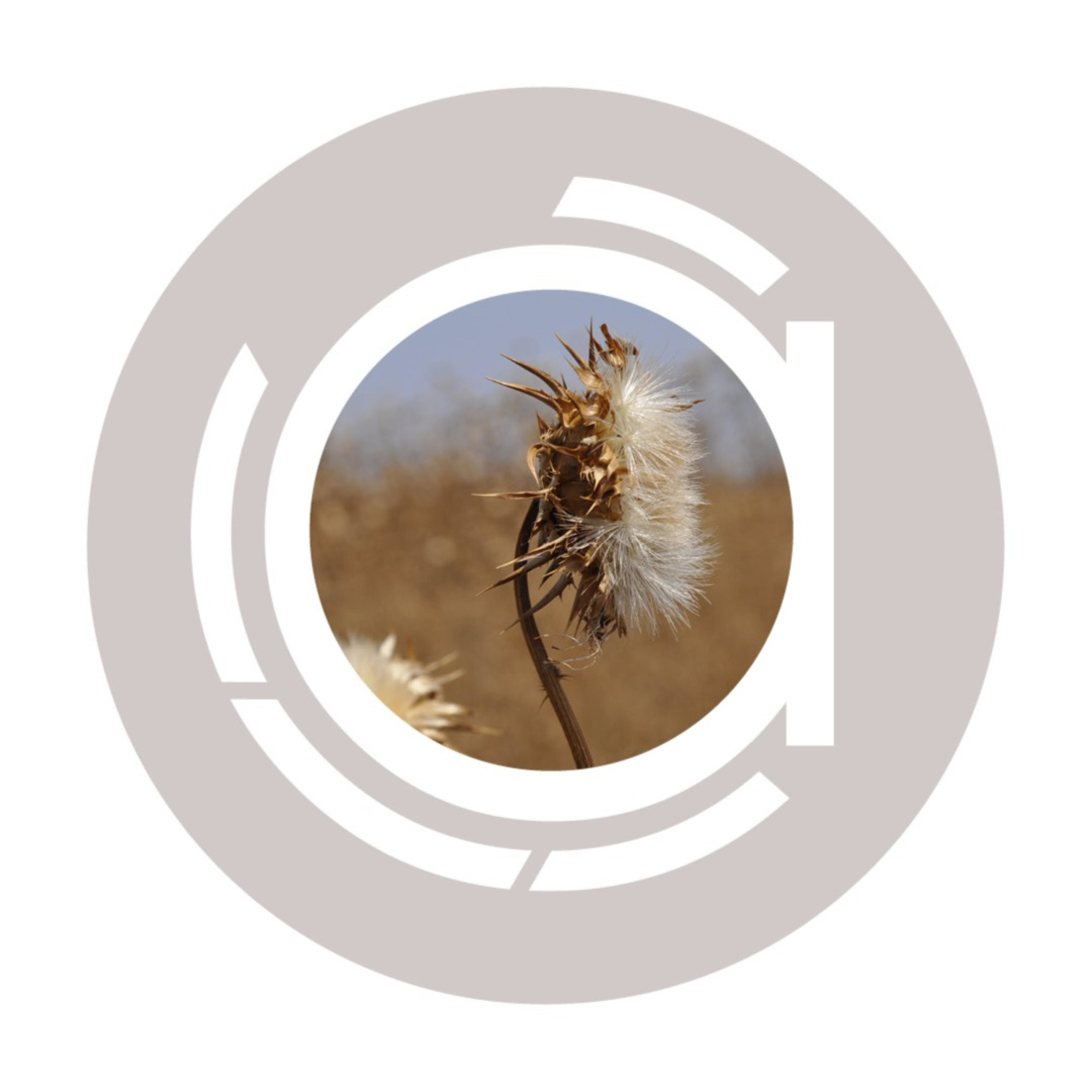 Am.Cordier - Podcast Channel cover art