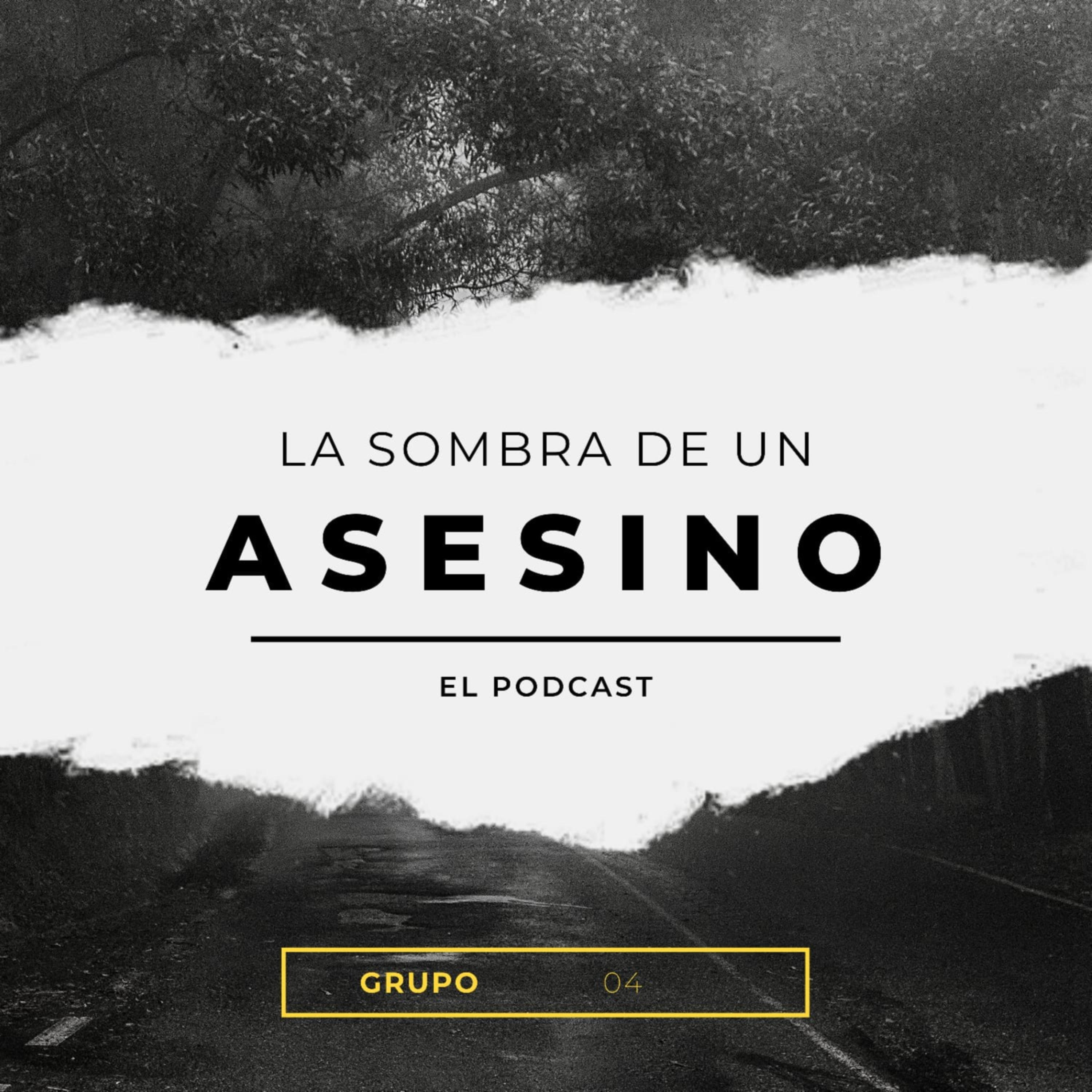 La Sombra de un Asesino cover art