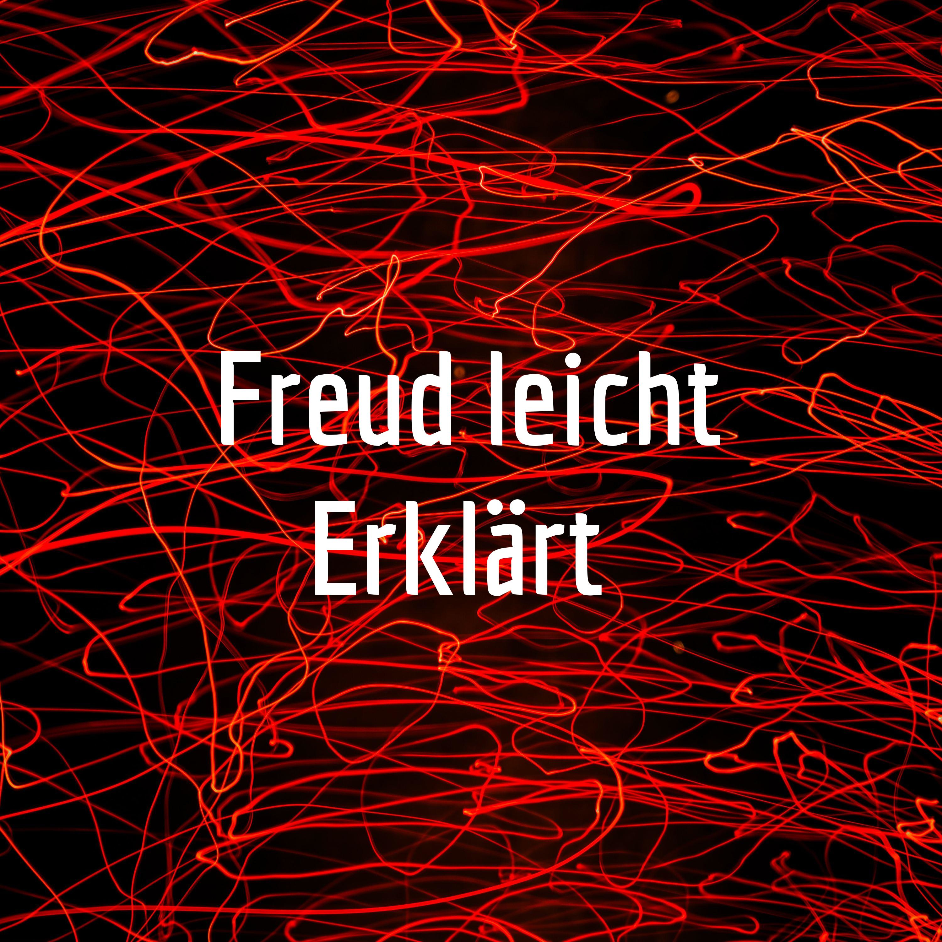 Freud leicht Erklärt cover art