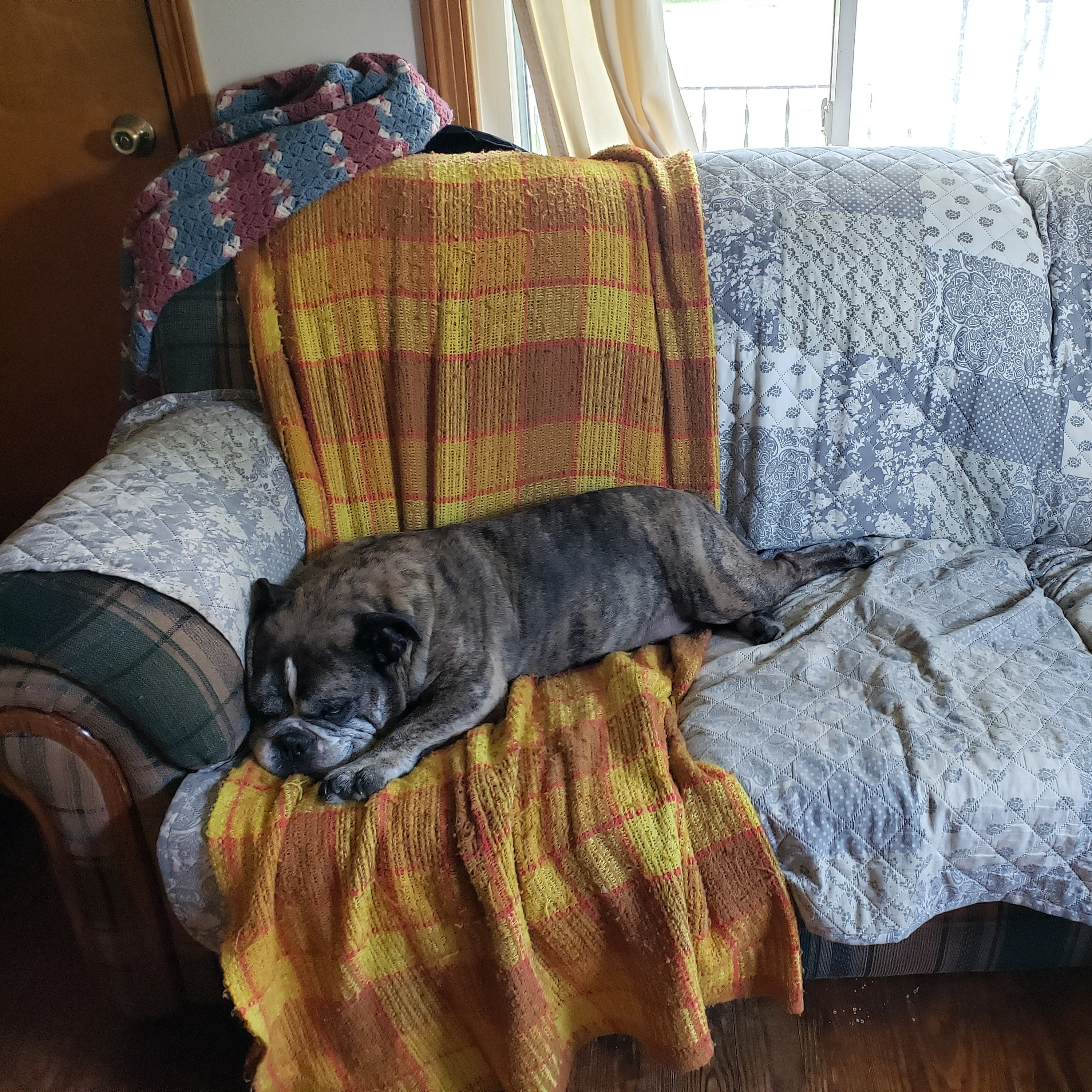 Couch Potatoes cover art