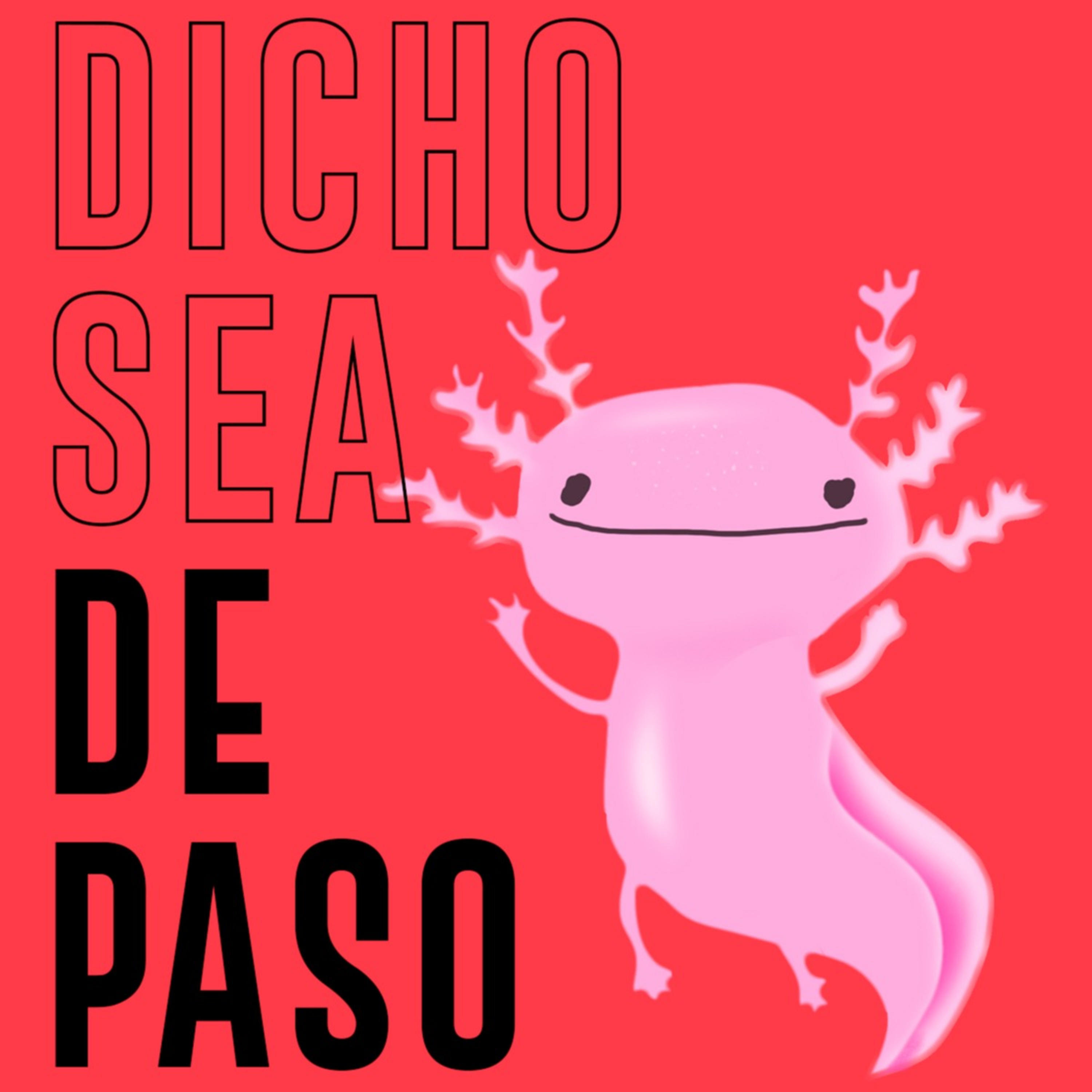Dicho Sea De Paso