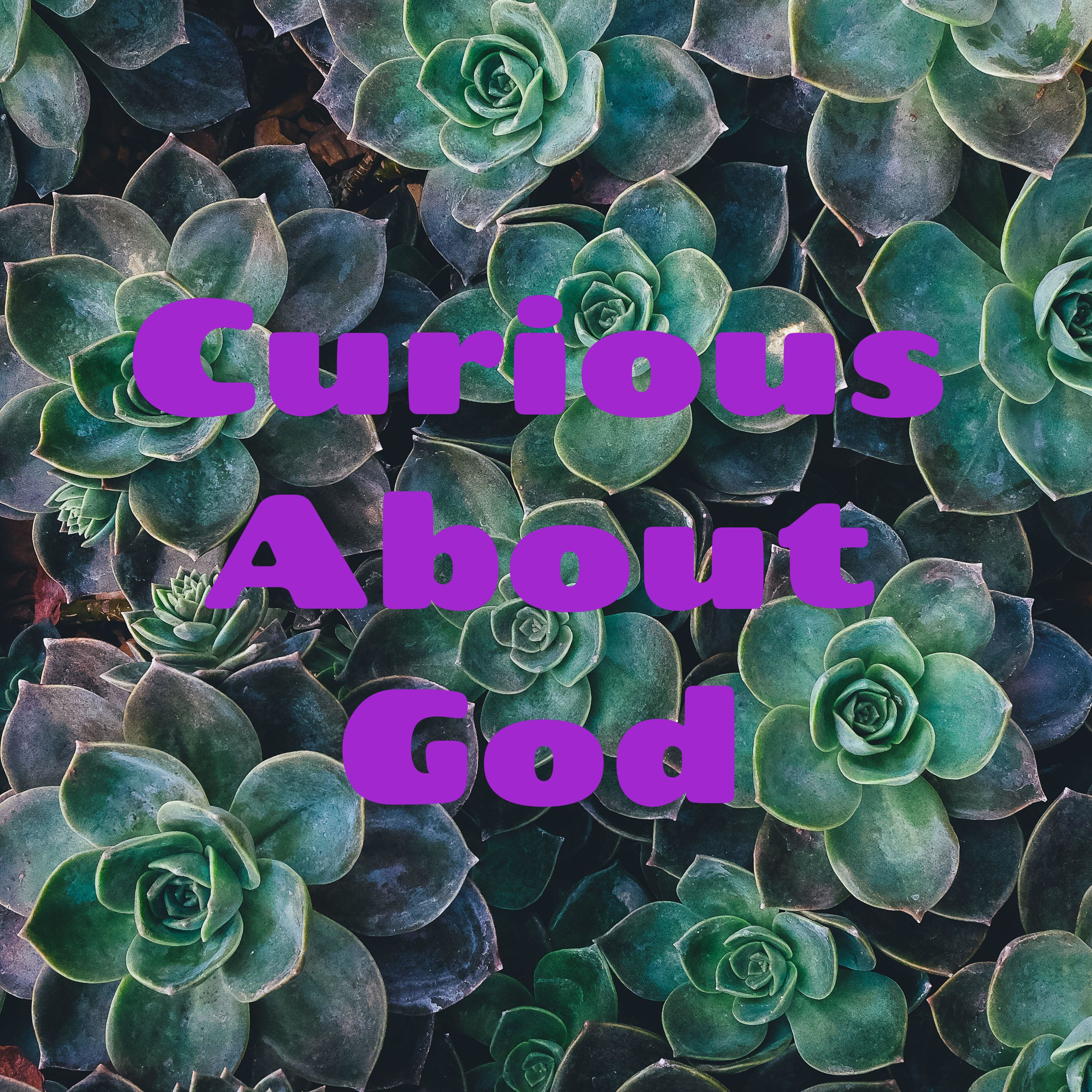 Curious About God