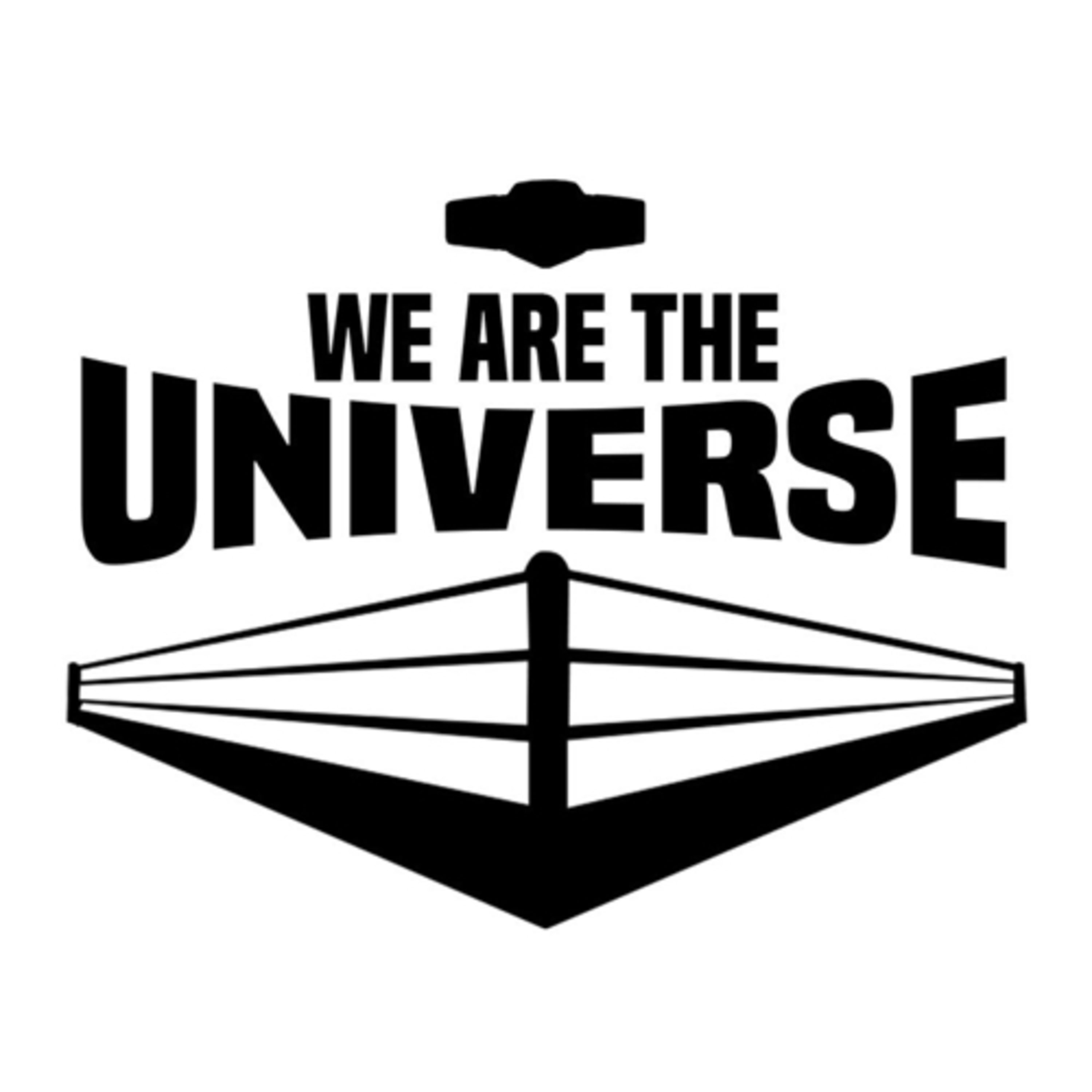 We Are The Universe
