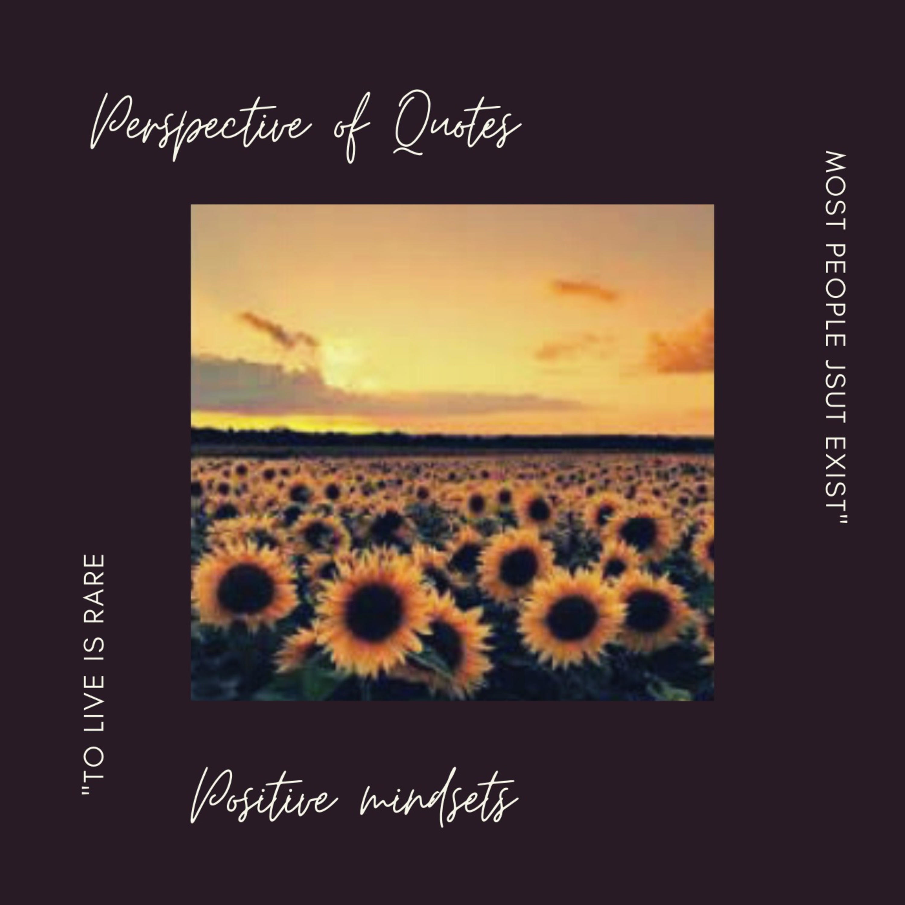Perspective of Quotes and Positive Mindset cover art