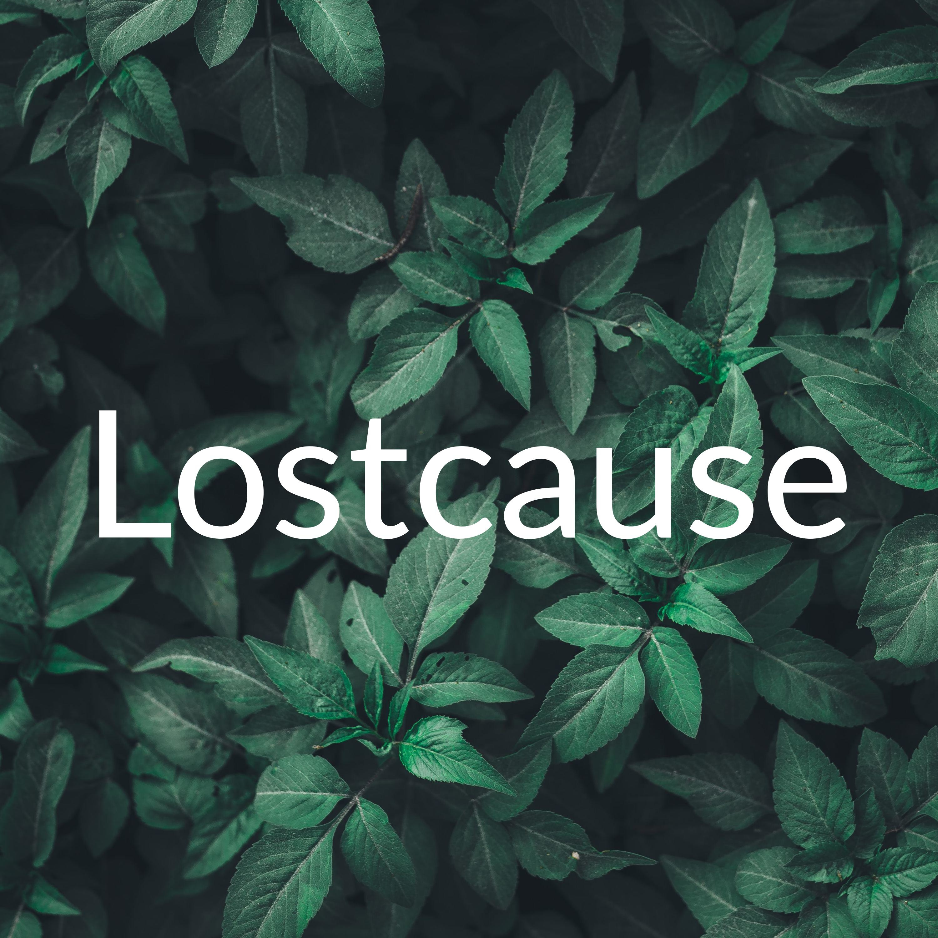 Lostcause