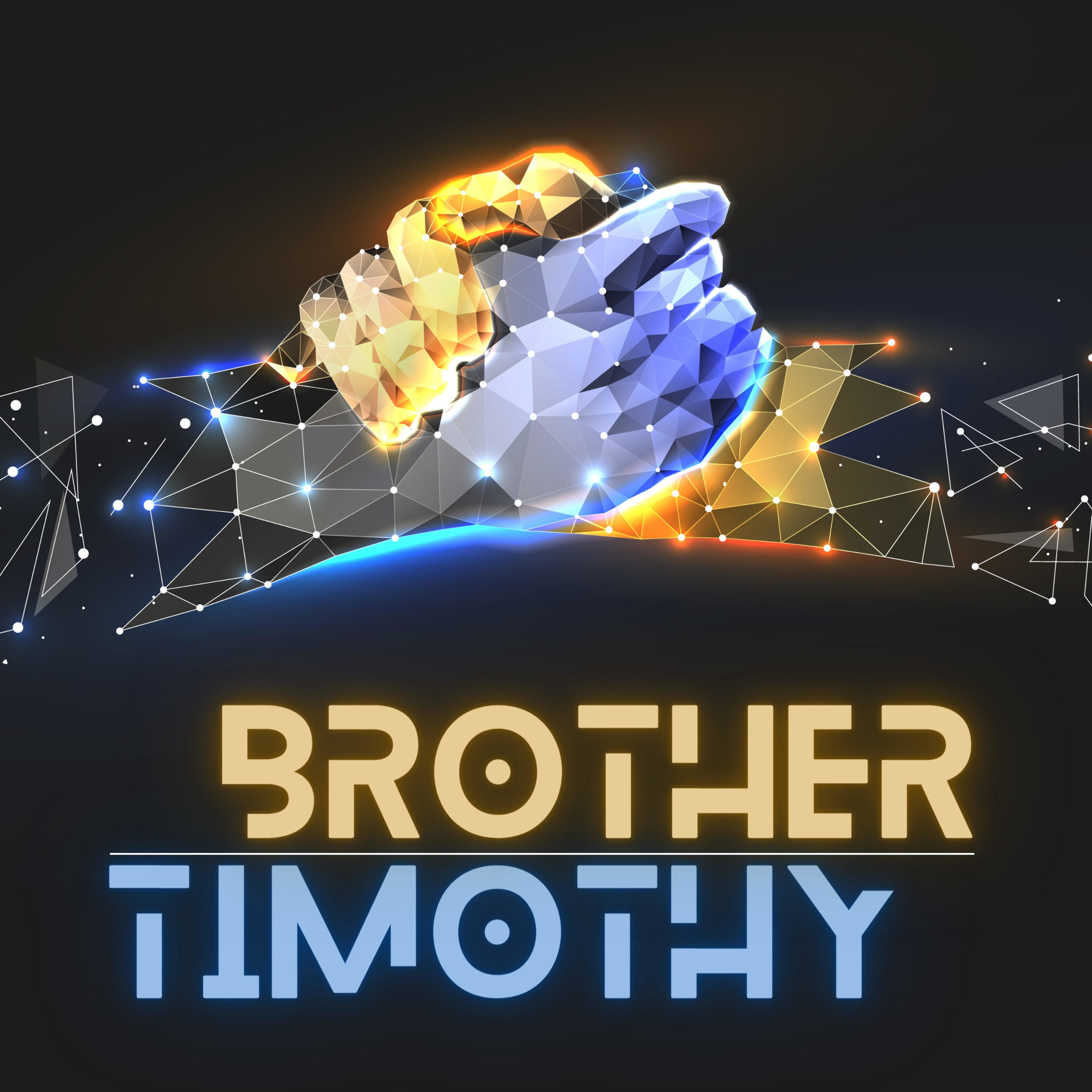 BROTHER TIMOTHY cover art