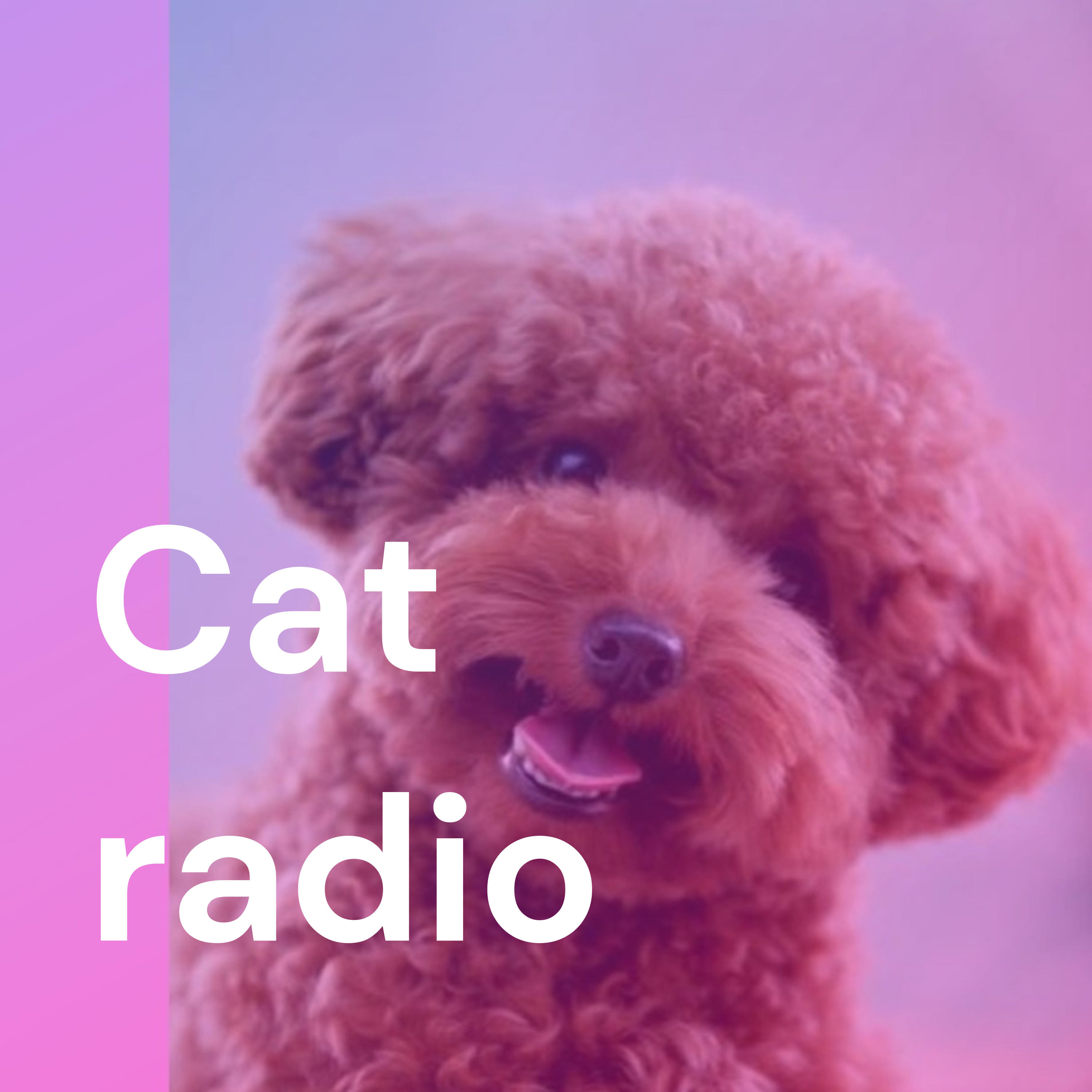 Cat radio cover art