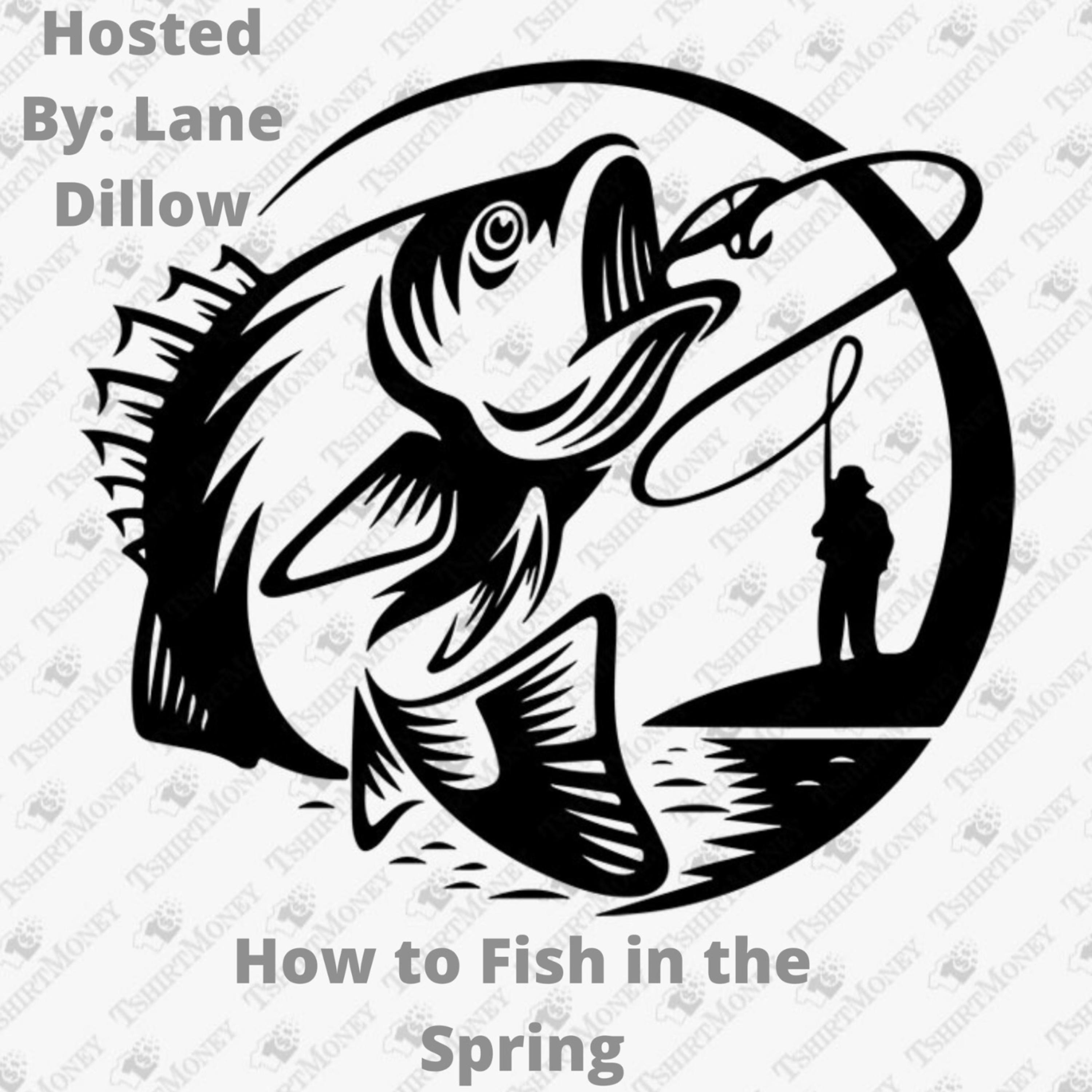 How to Fish in The Spring