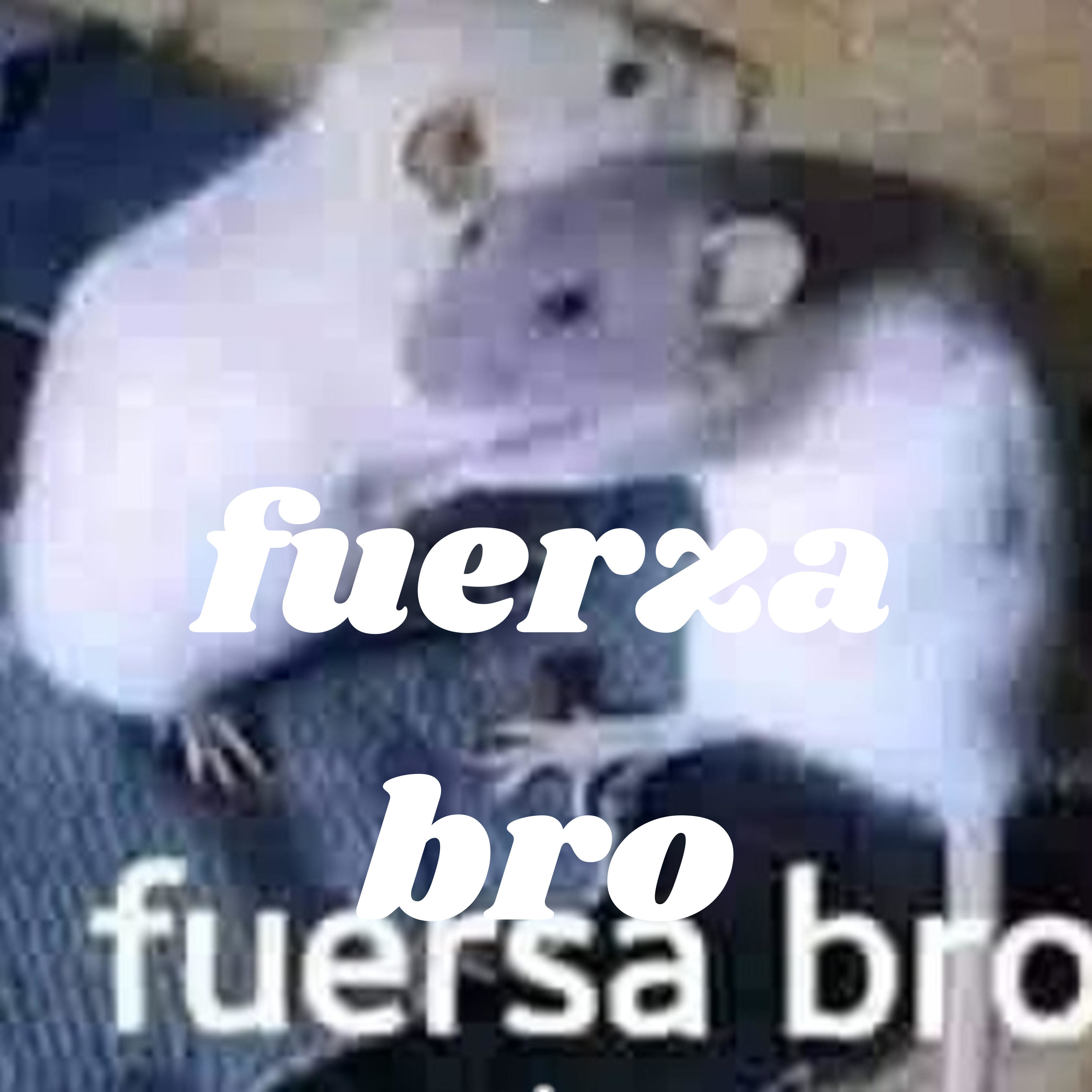 fuerza bro