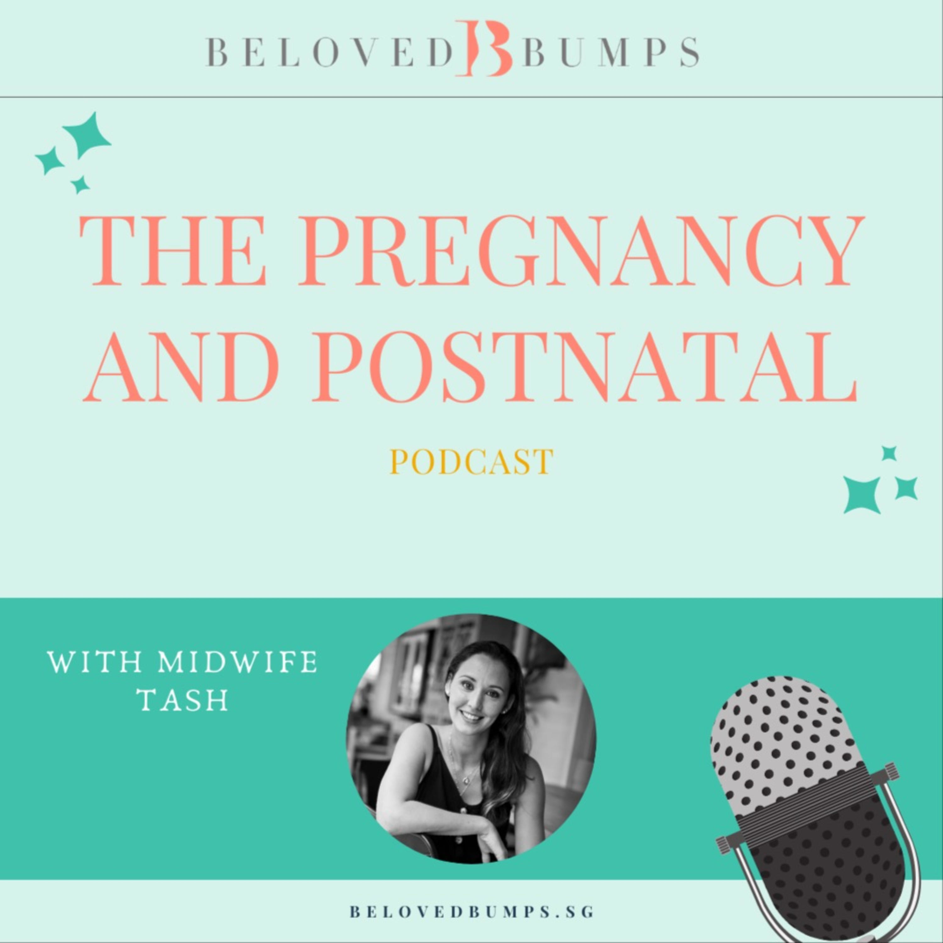 The Pregnancy and Postnatal Podcast