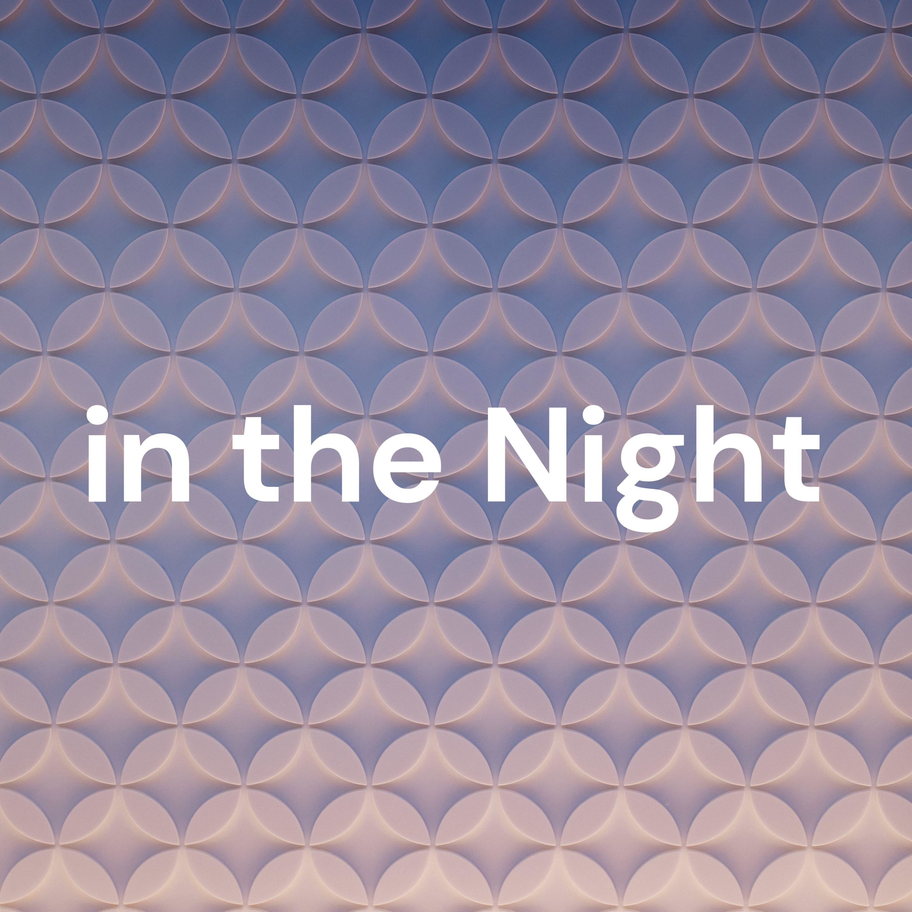 いざない in the Night