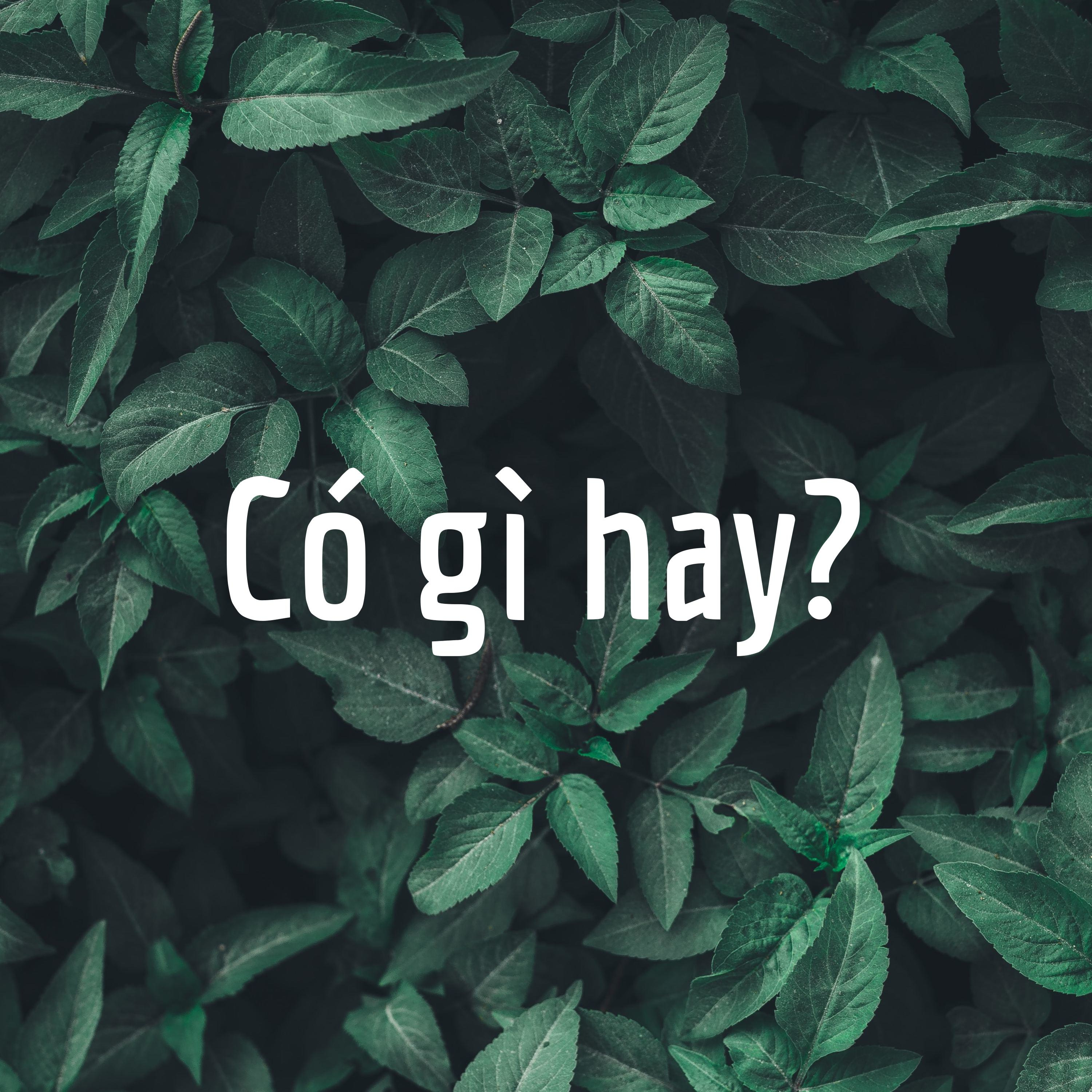 Có gì hay? cover art