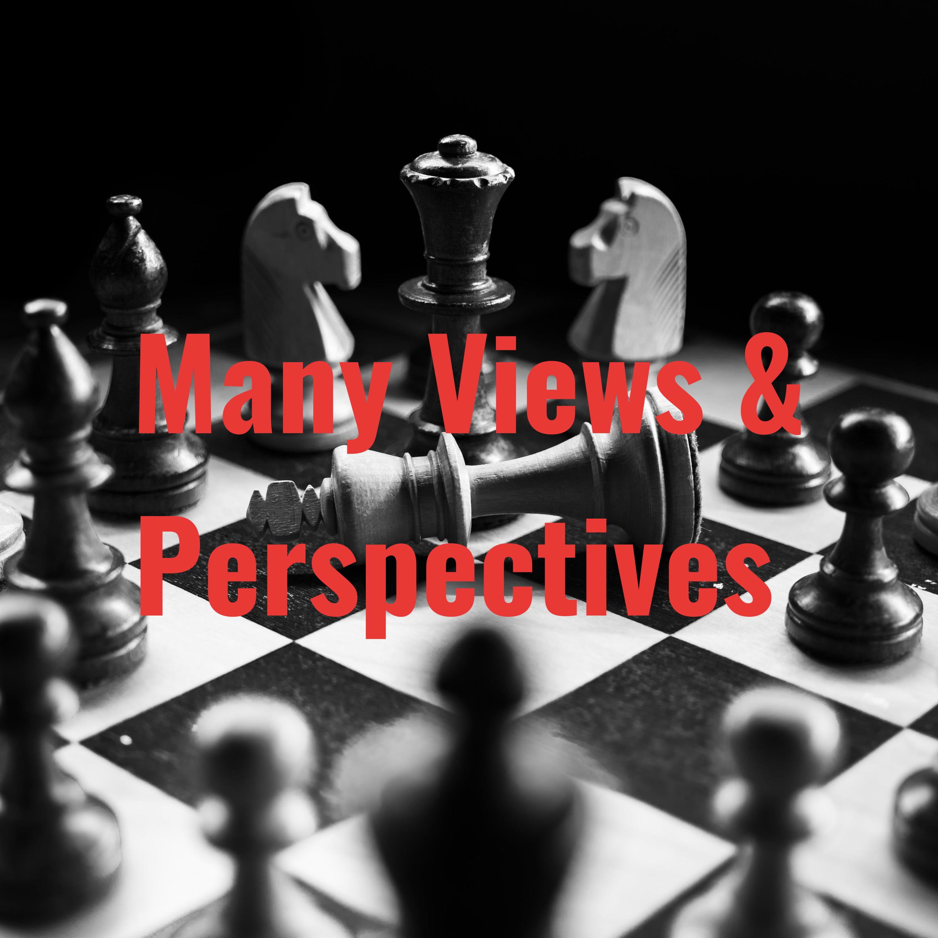 Many Views & Perspectives podcast artwork