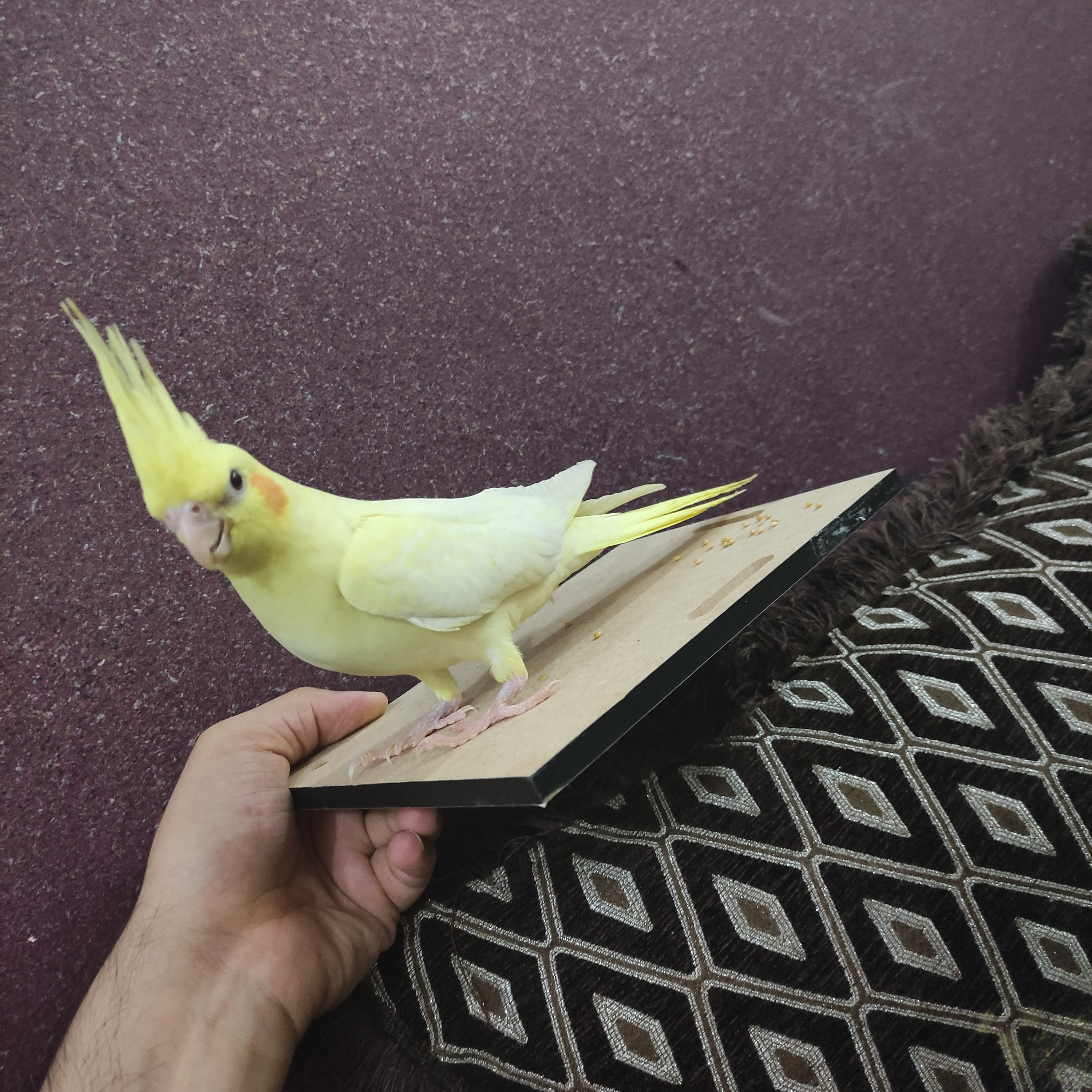 مقدمه روانشناسی تصویر ذهنی