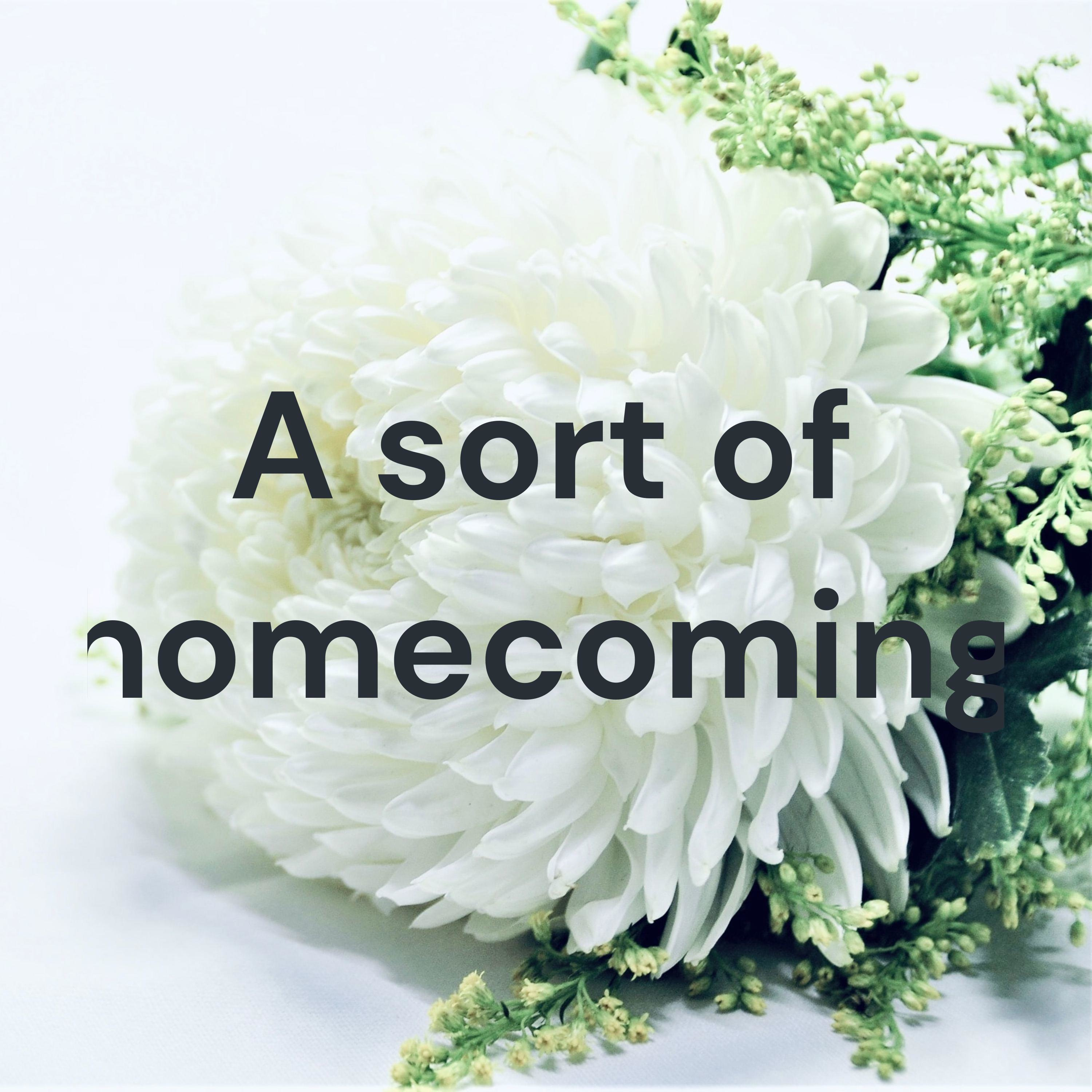 A sort of homecoming