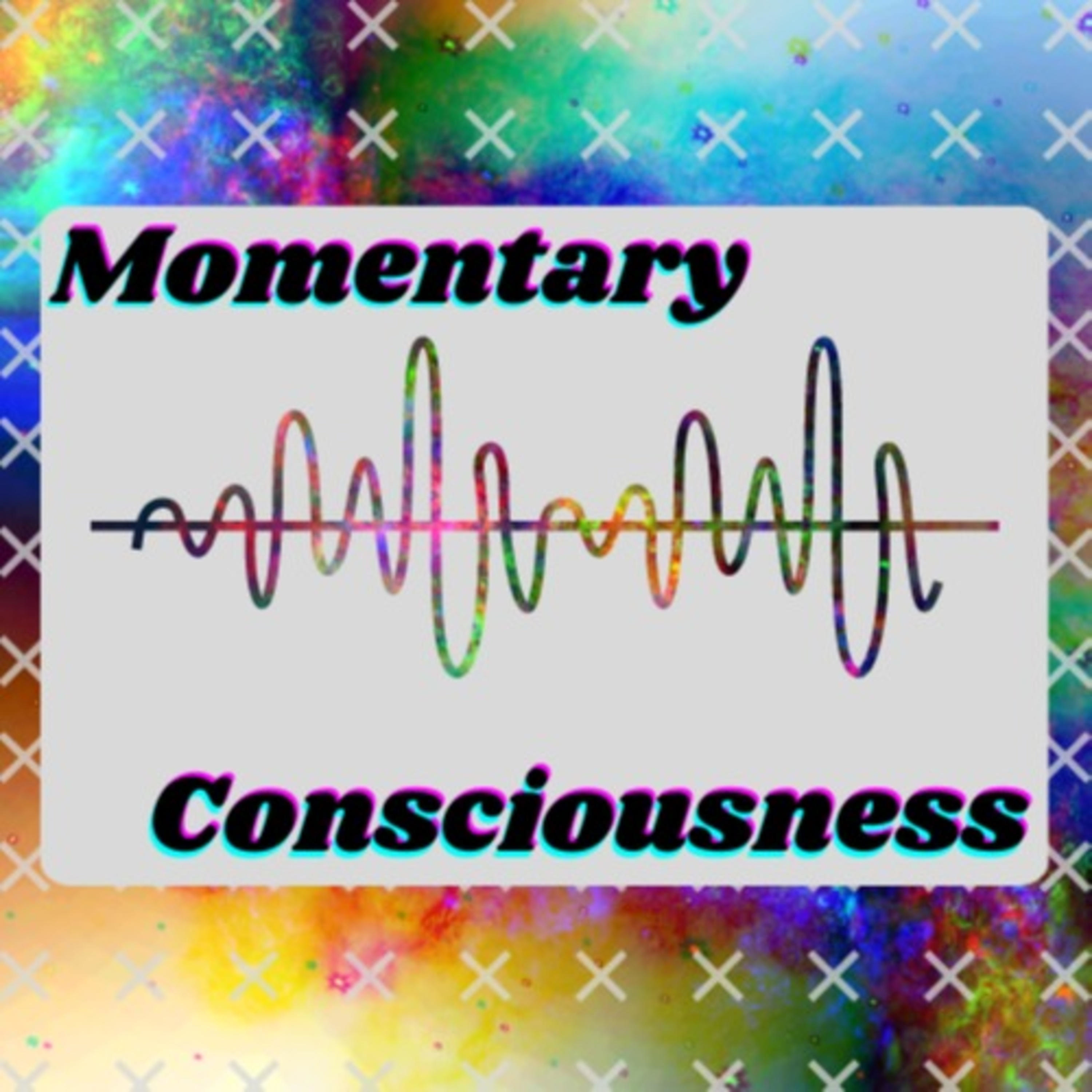 Momentary Consciousness cover art