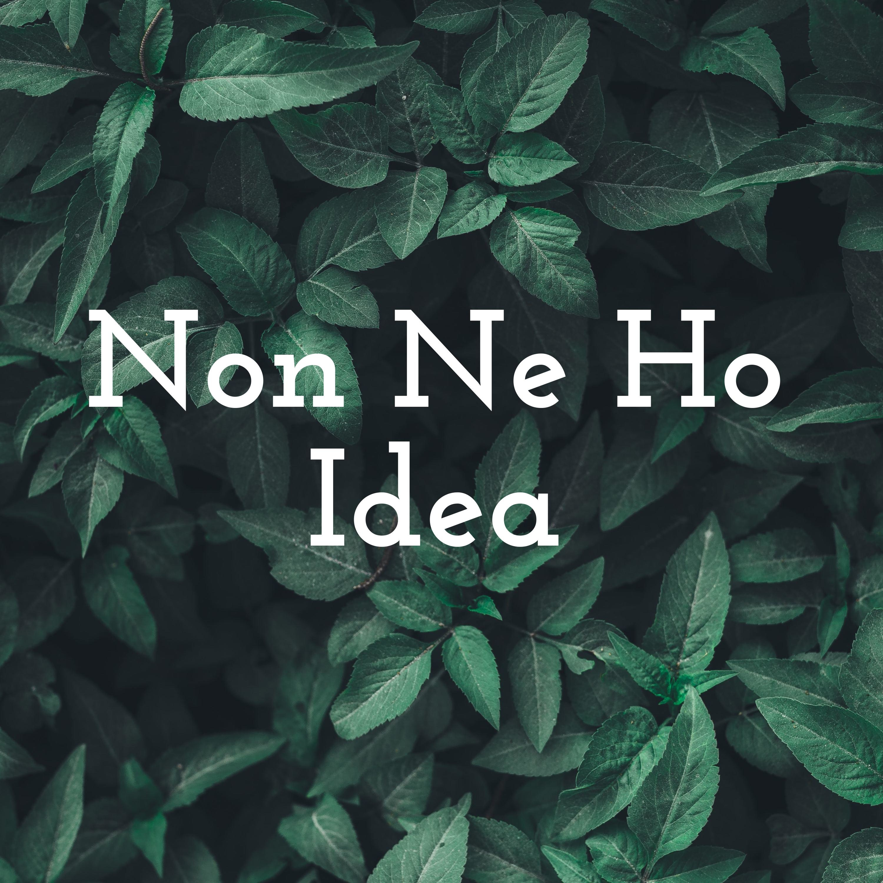 Non Ne Ho Idea