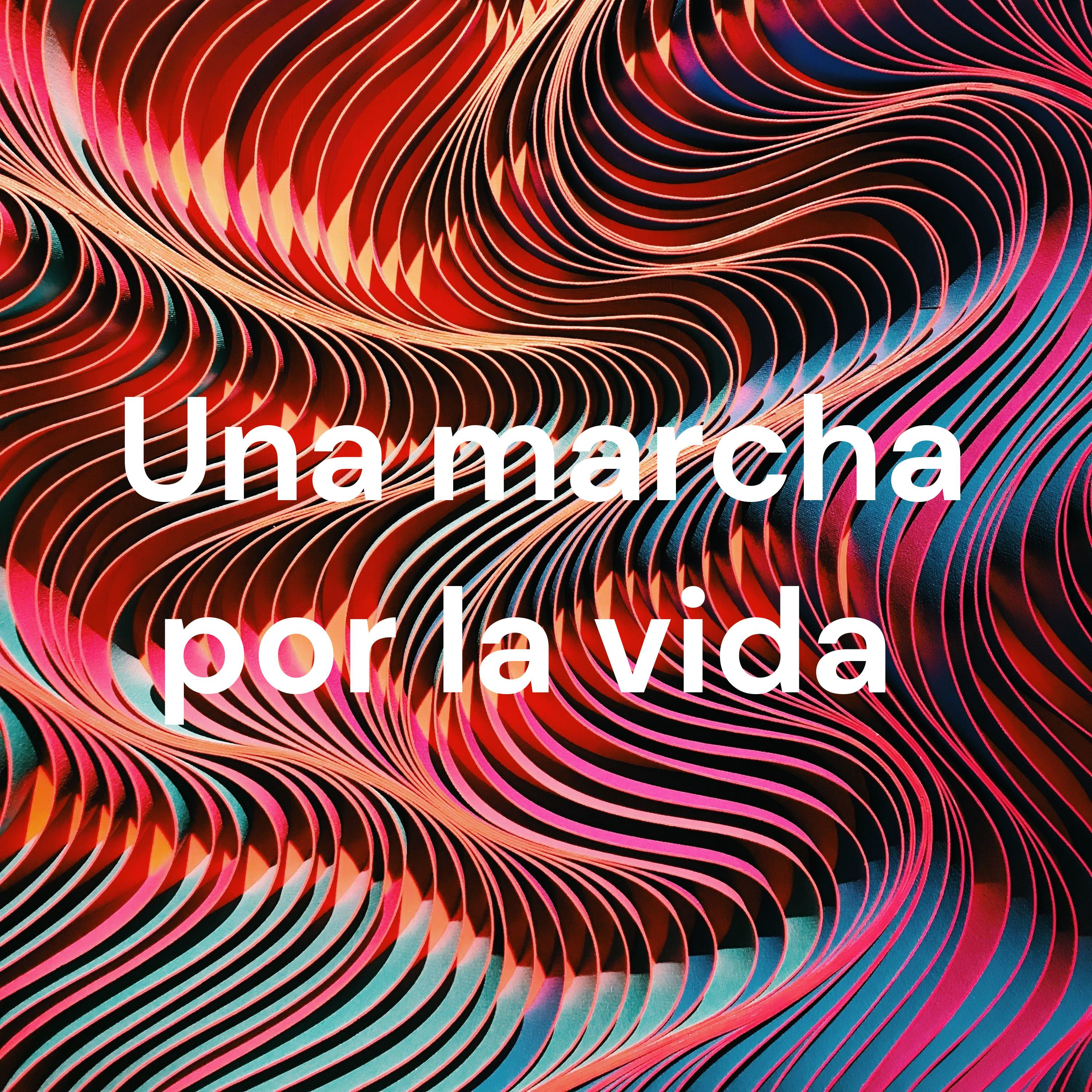 Una marcha por la vida cover art