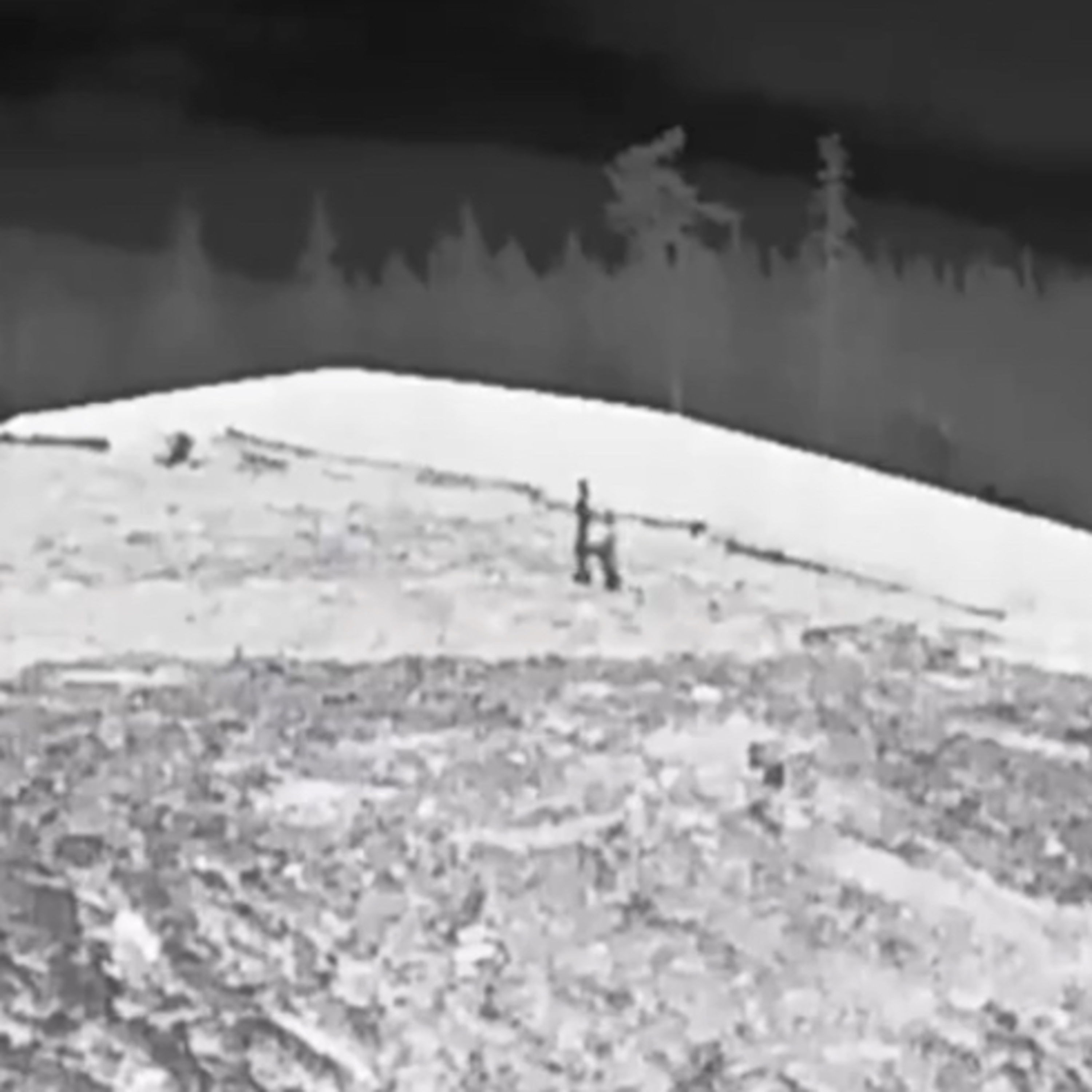 bigfoot hunt